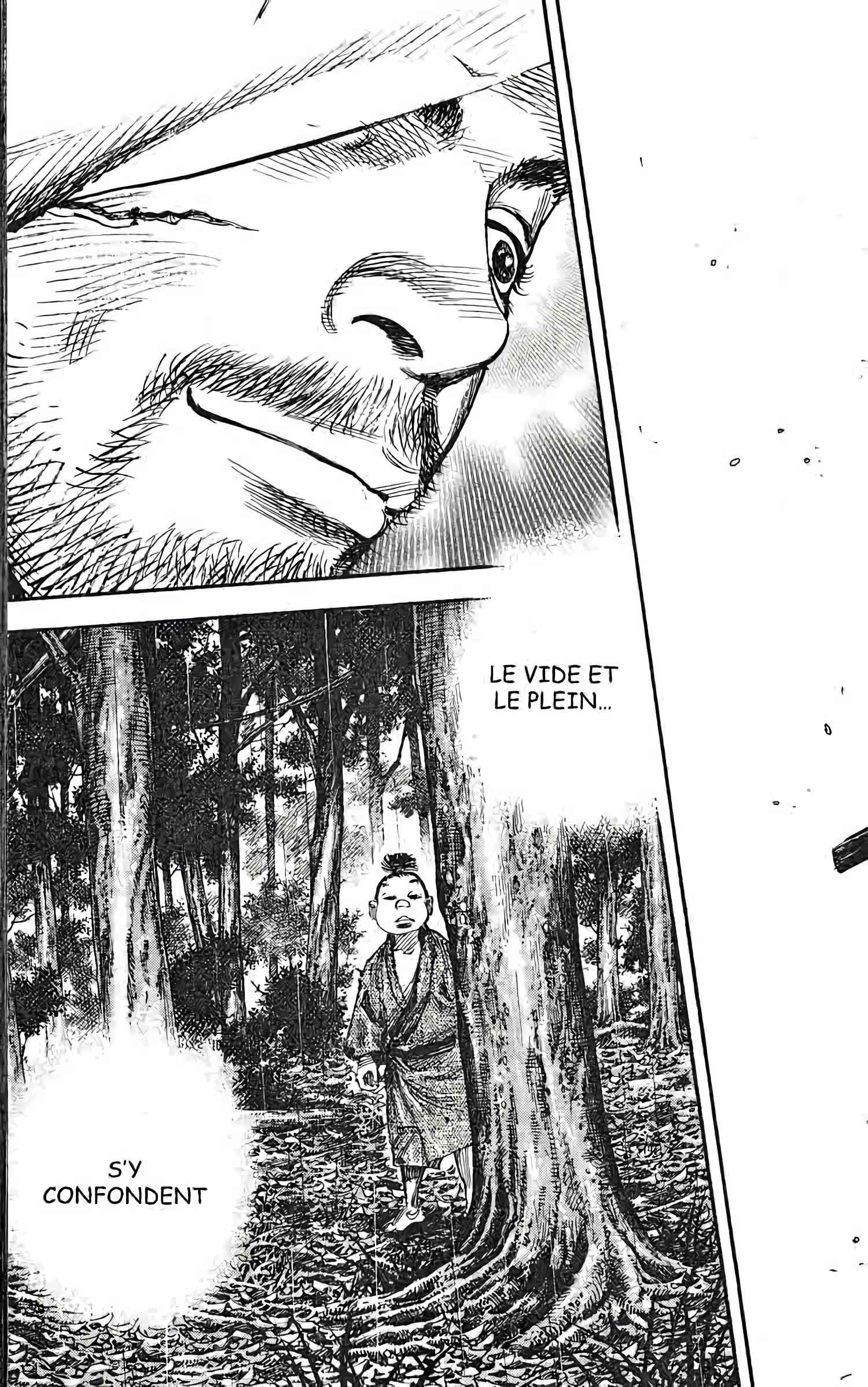 Read Vagabond FR Manga Online