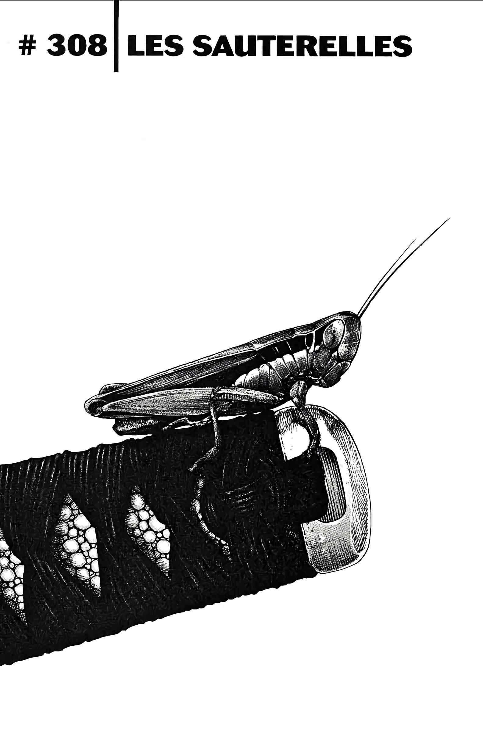 Read Vagabond FR Manga Online