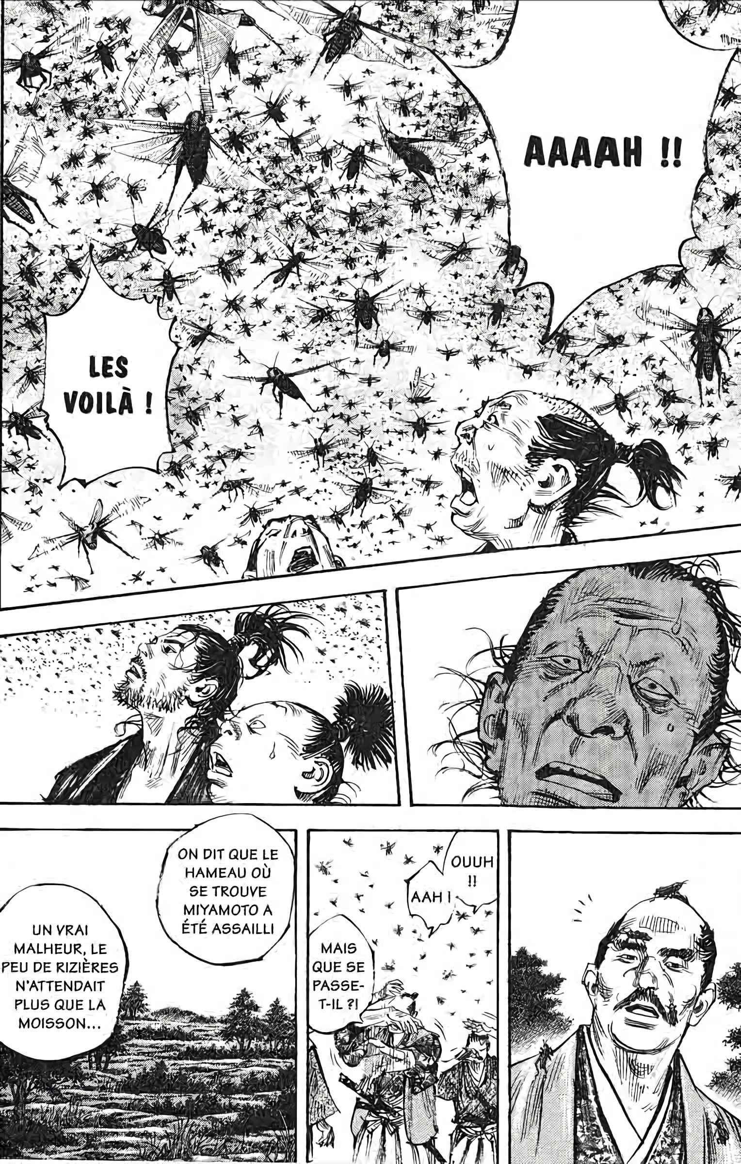 Read Vagabond FR Manga Online