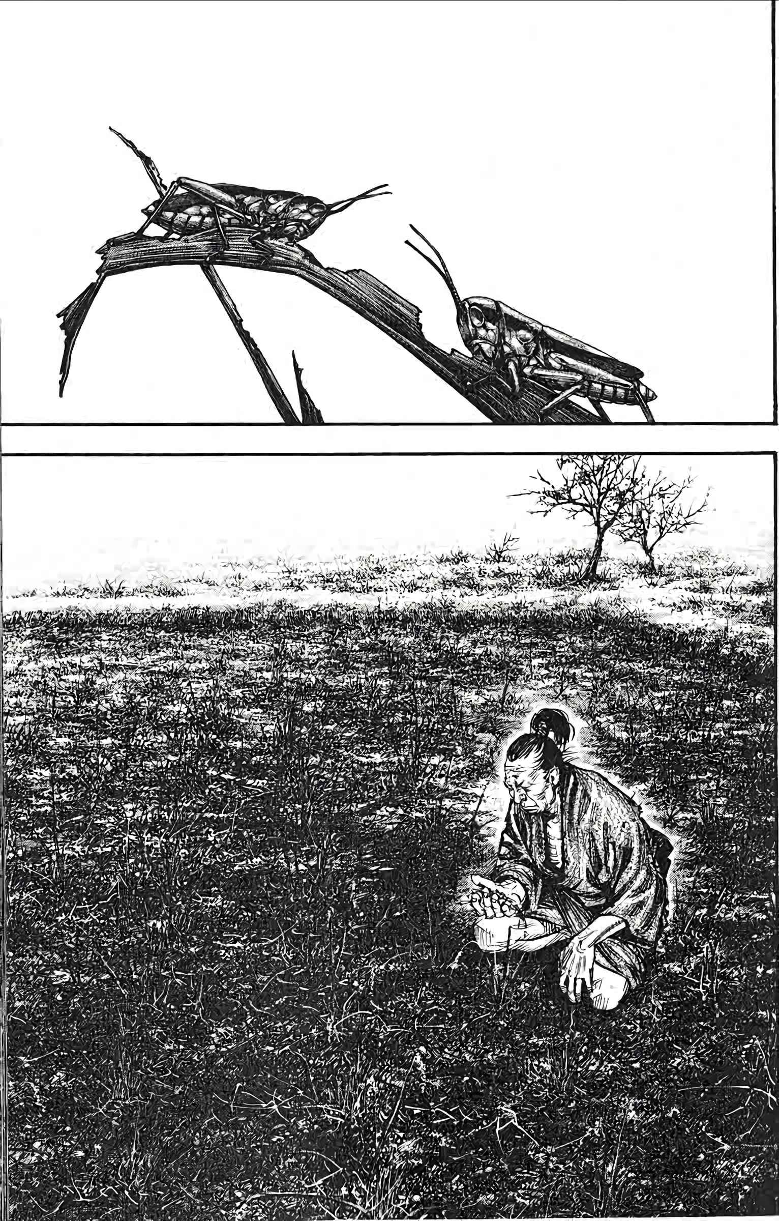 Read Vagabond FR Manga Online