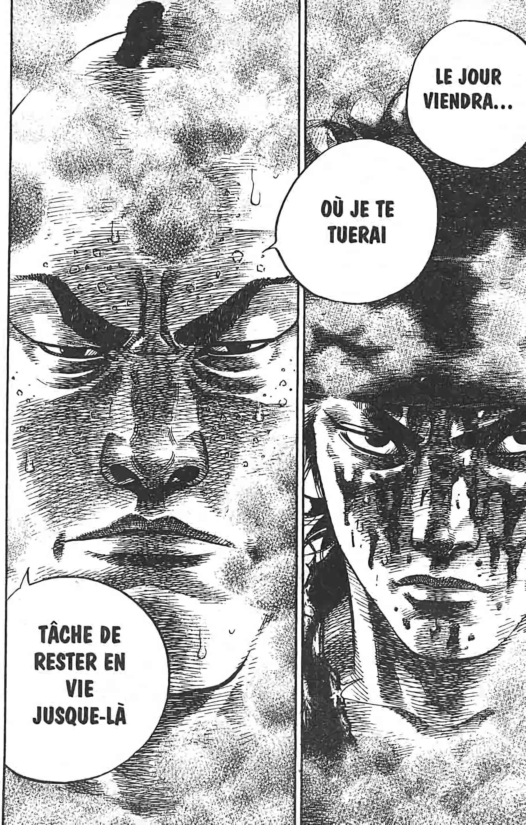 Read Vagabond FR Manga Online