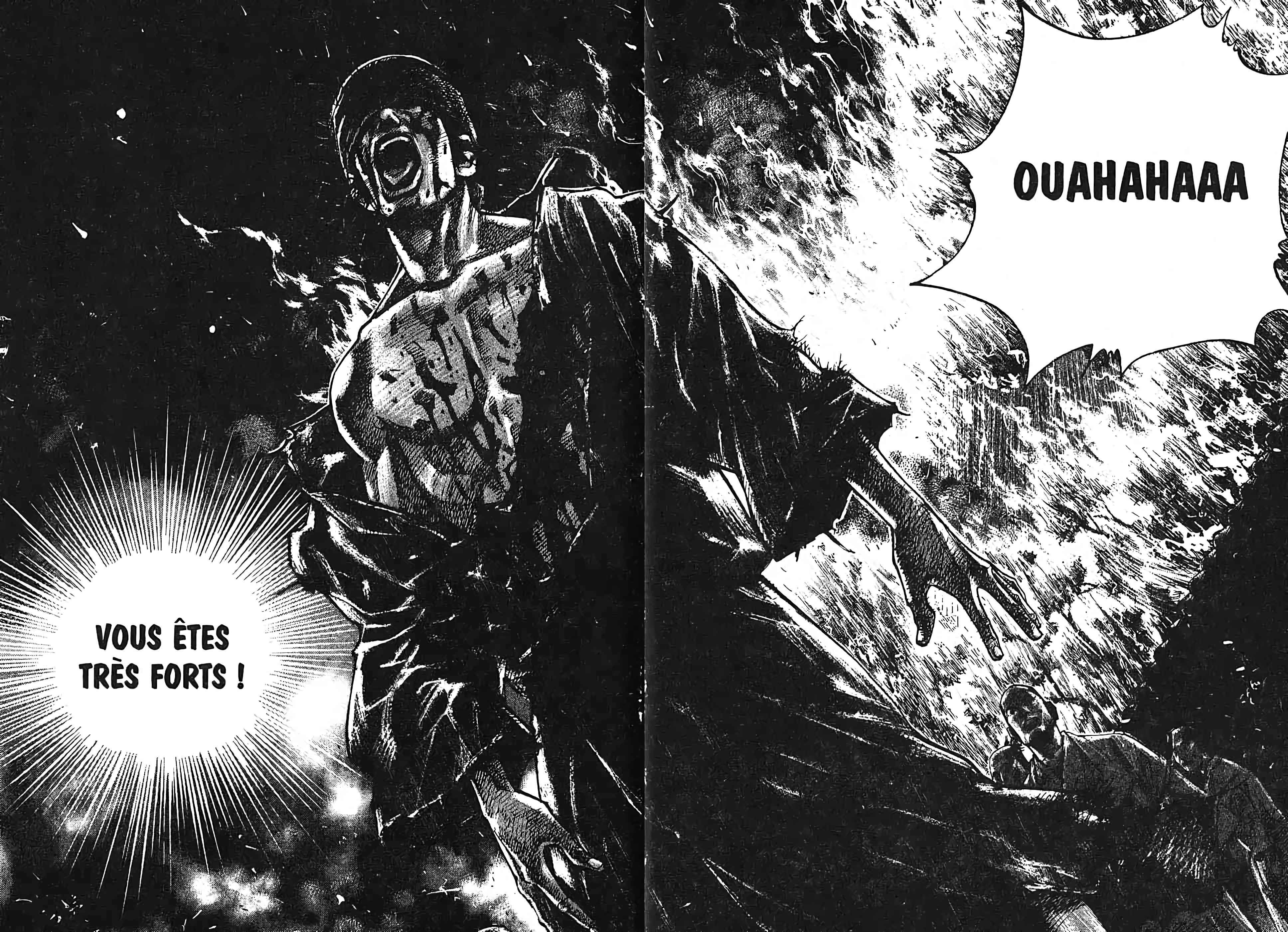 Read Vagabond FR Manga Online