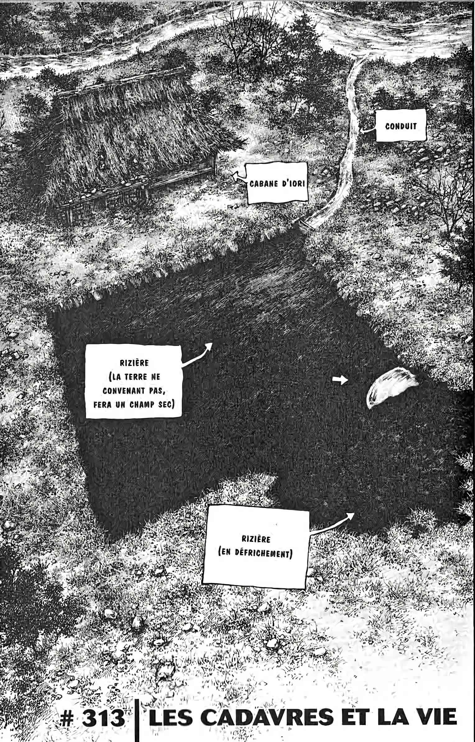 Read Vagabond FR Manga Online