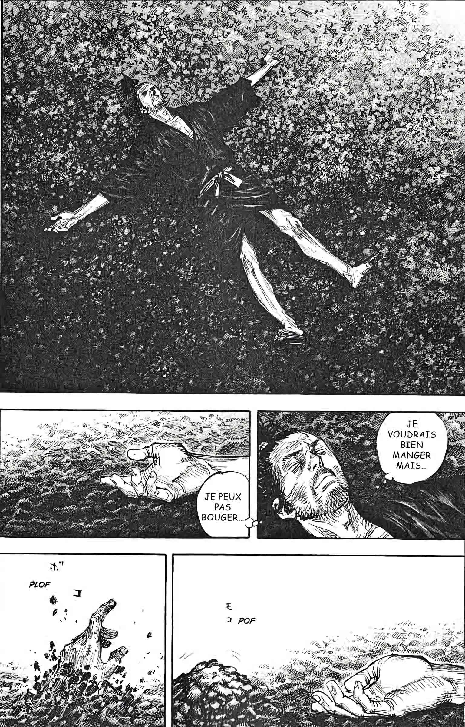 Read Vagabond FR Manga Online