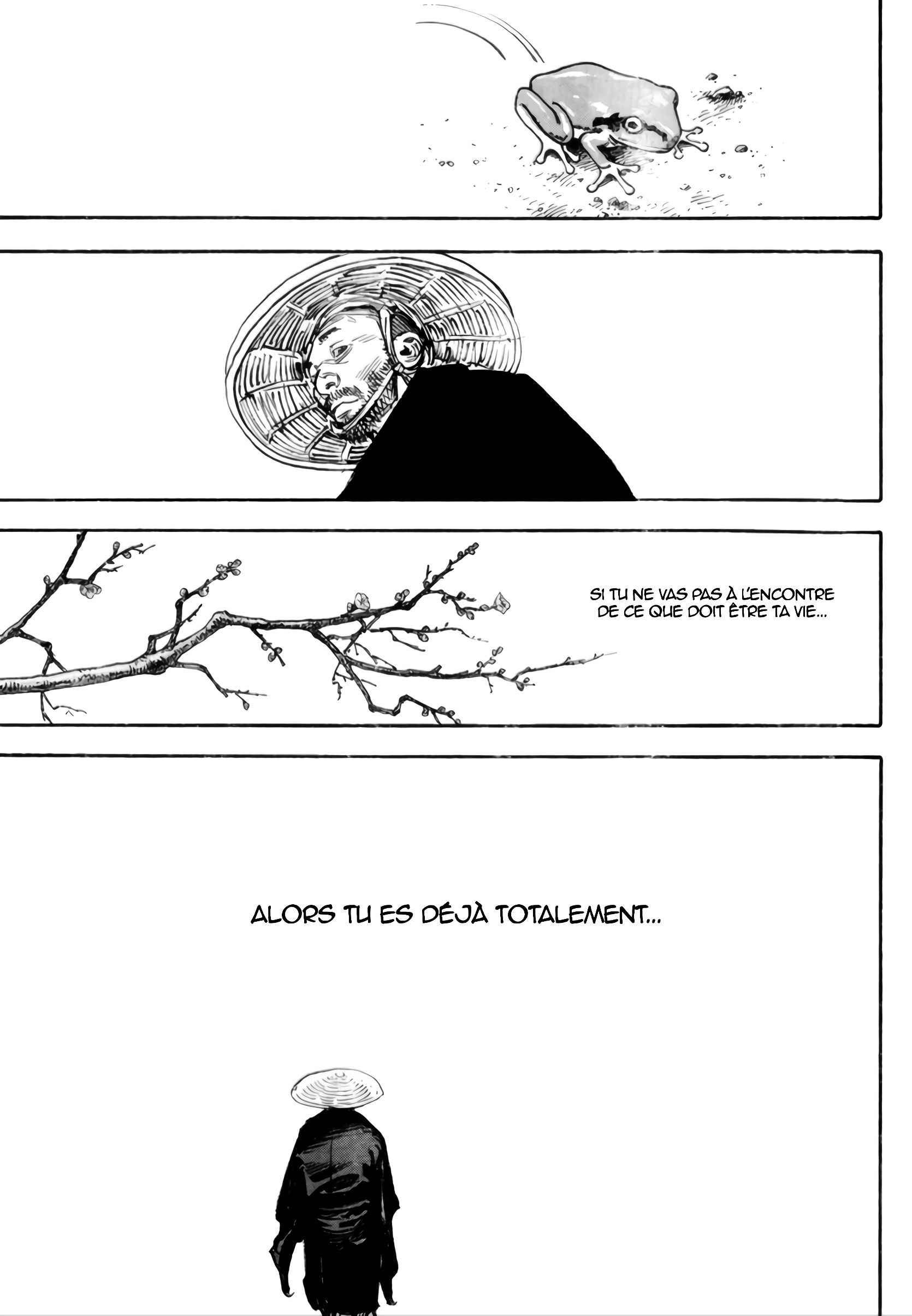 Read Vagabond FR Manga Online