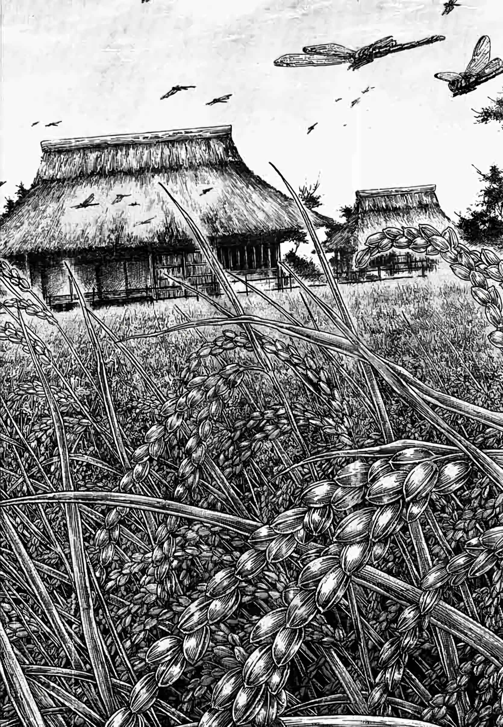 Read Vagabond FR Manga Online