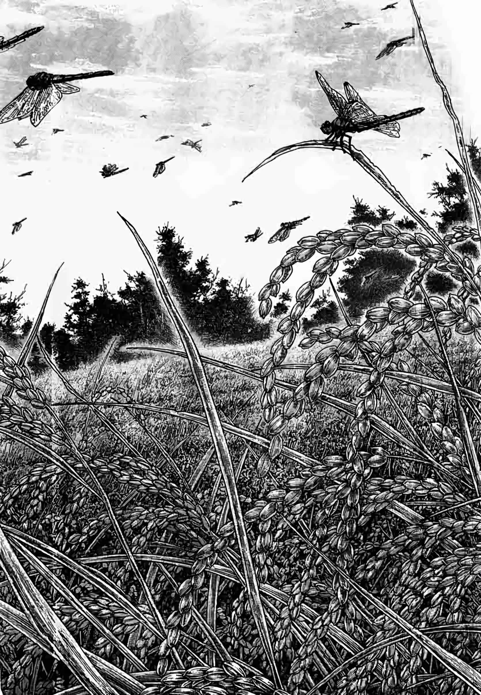 Read Vagabond FR Manga Online