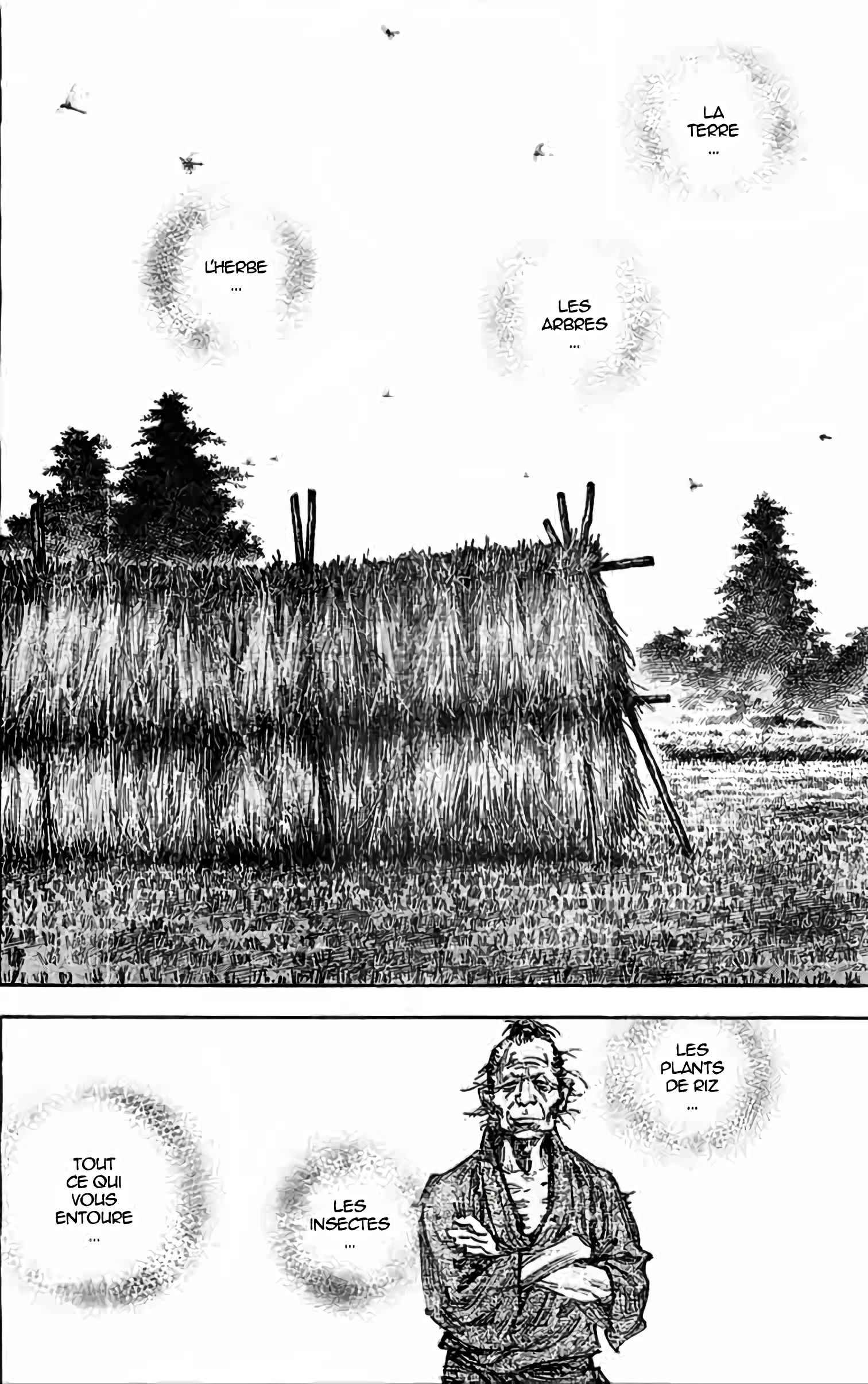 Read Vagabond FR Manga Online