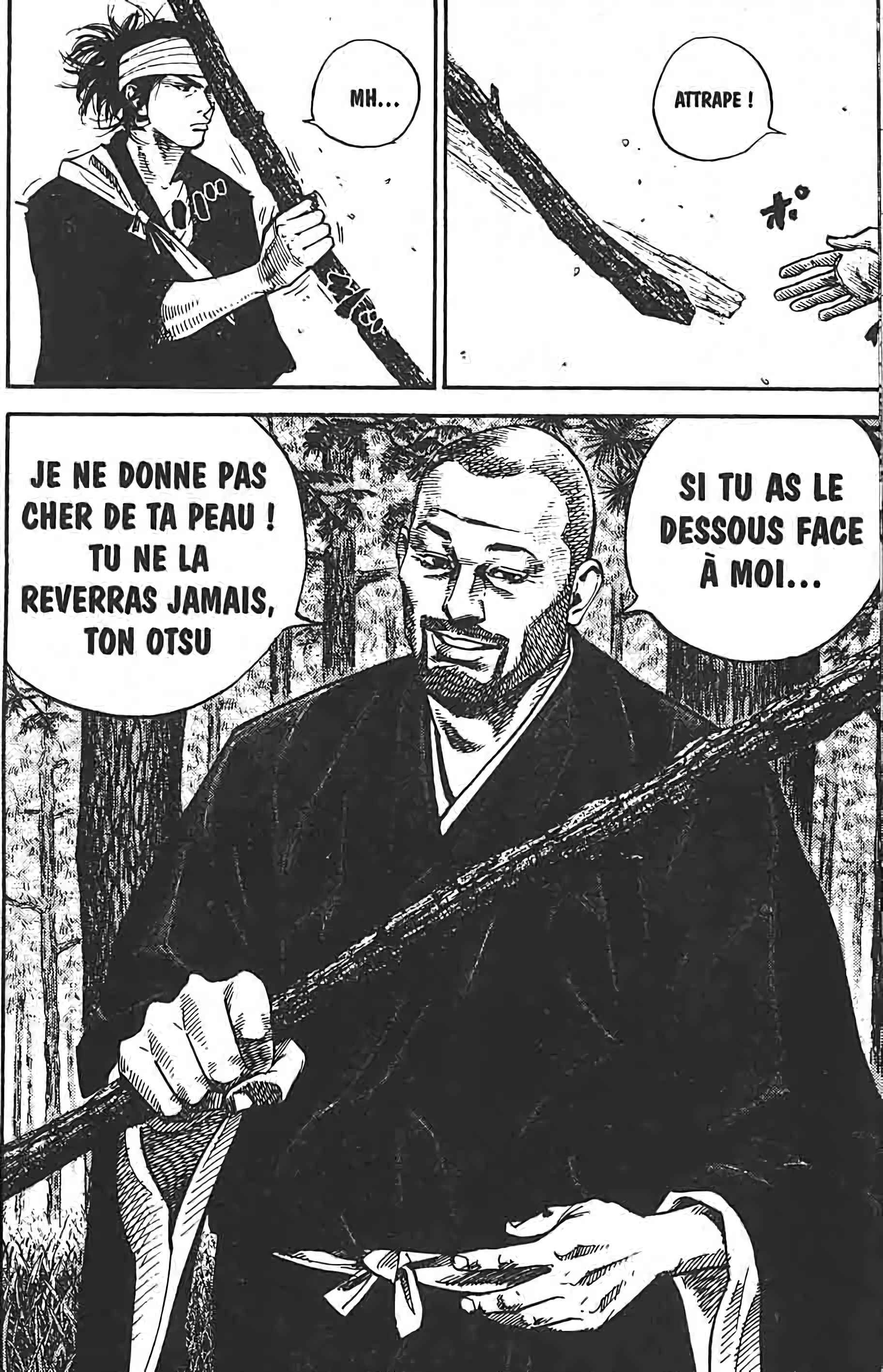 Read Vagabond FR Manga Online