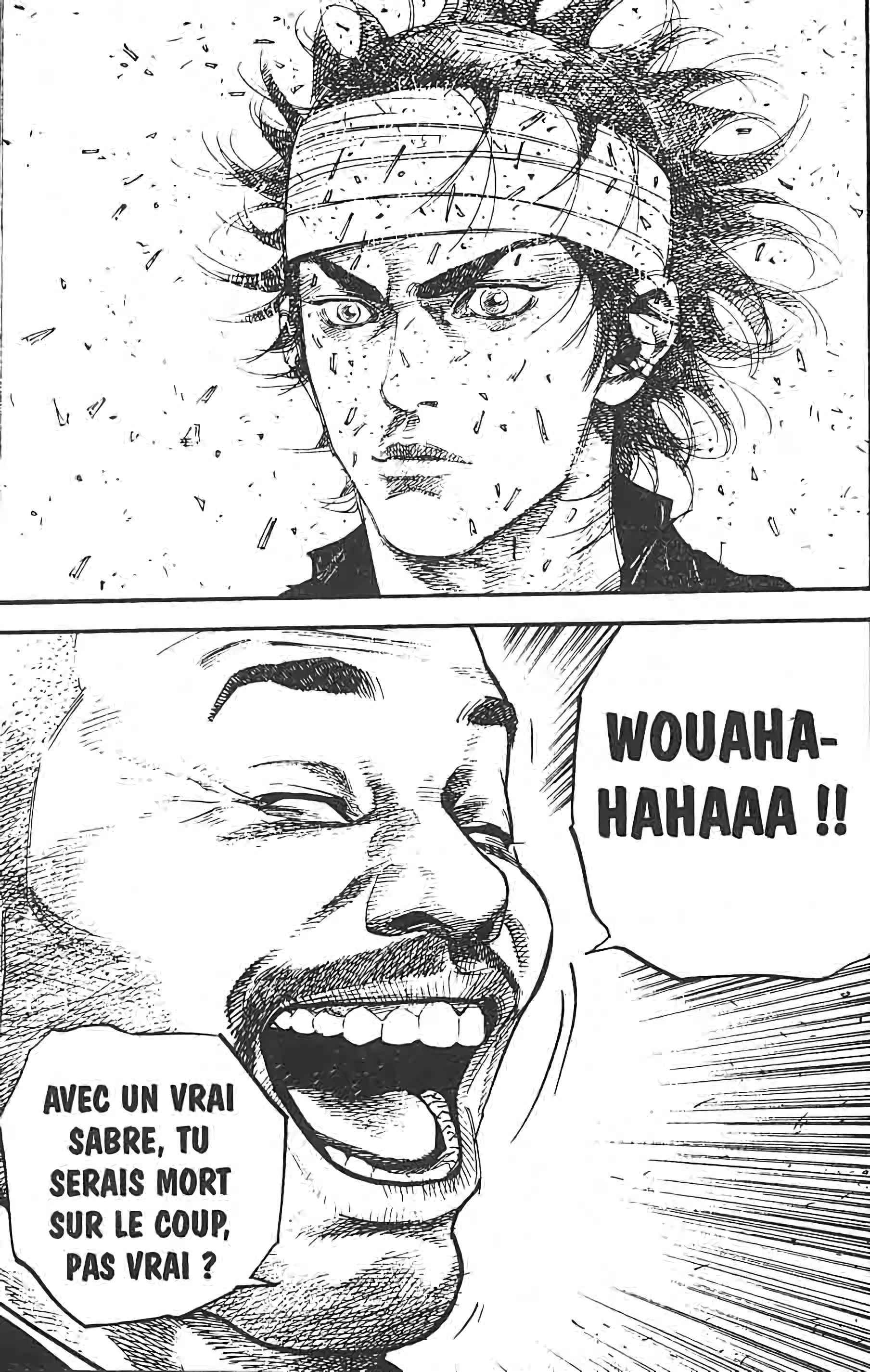 Read Vagabond FR Manga Online
