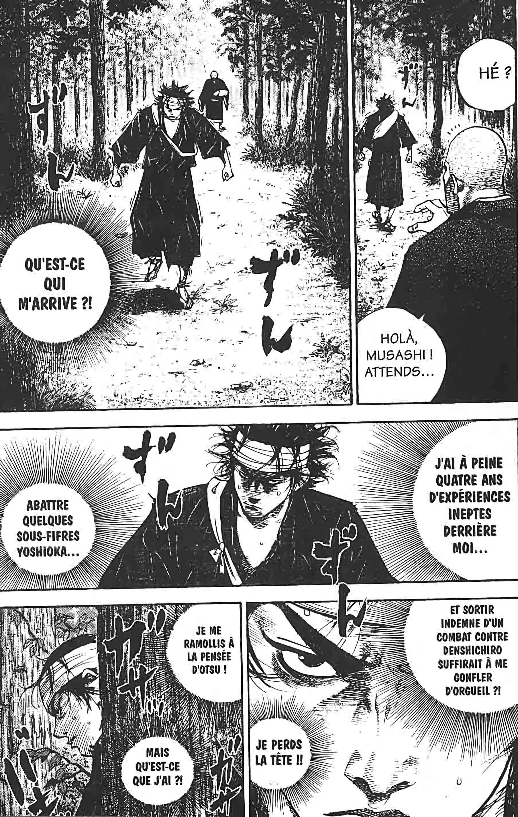 Read Vagabond FR Manga Online