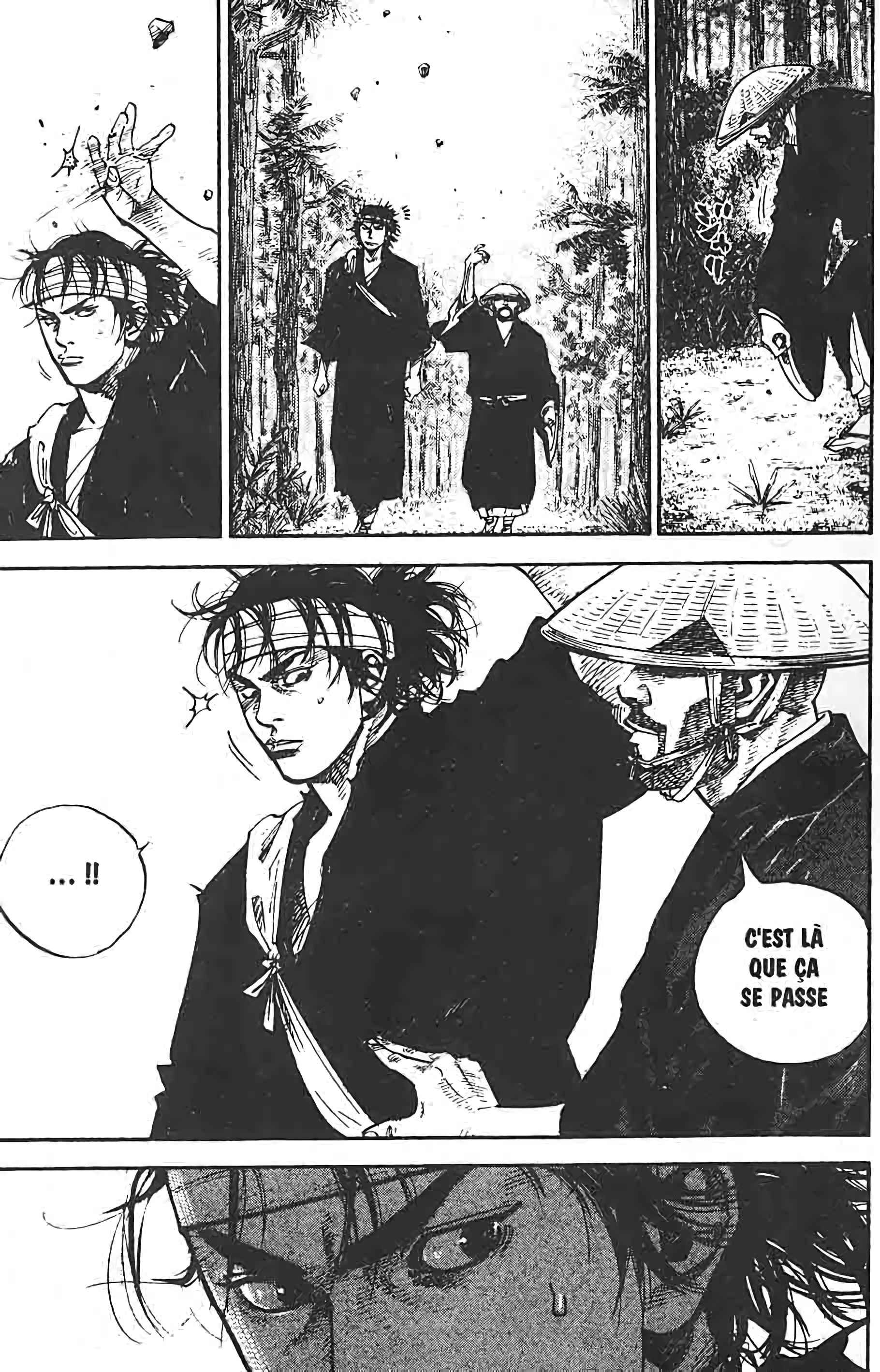 Read Vagabond FR Manga Online