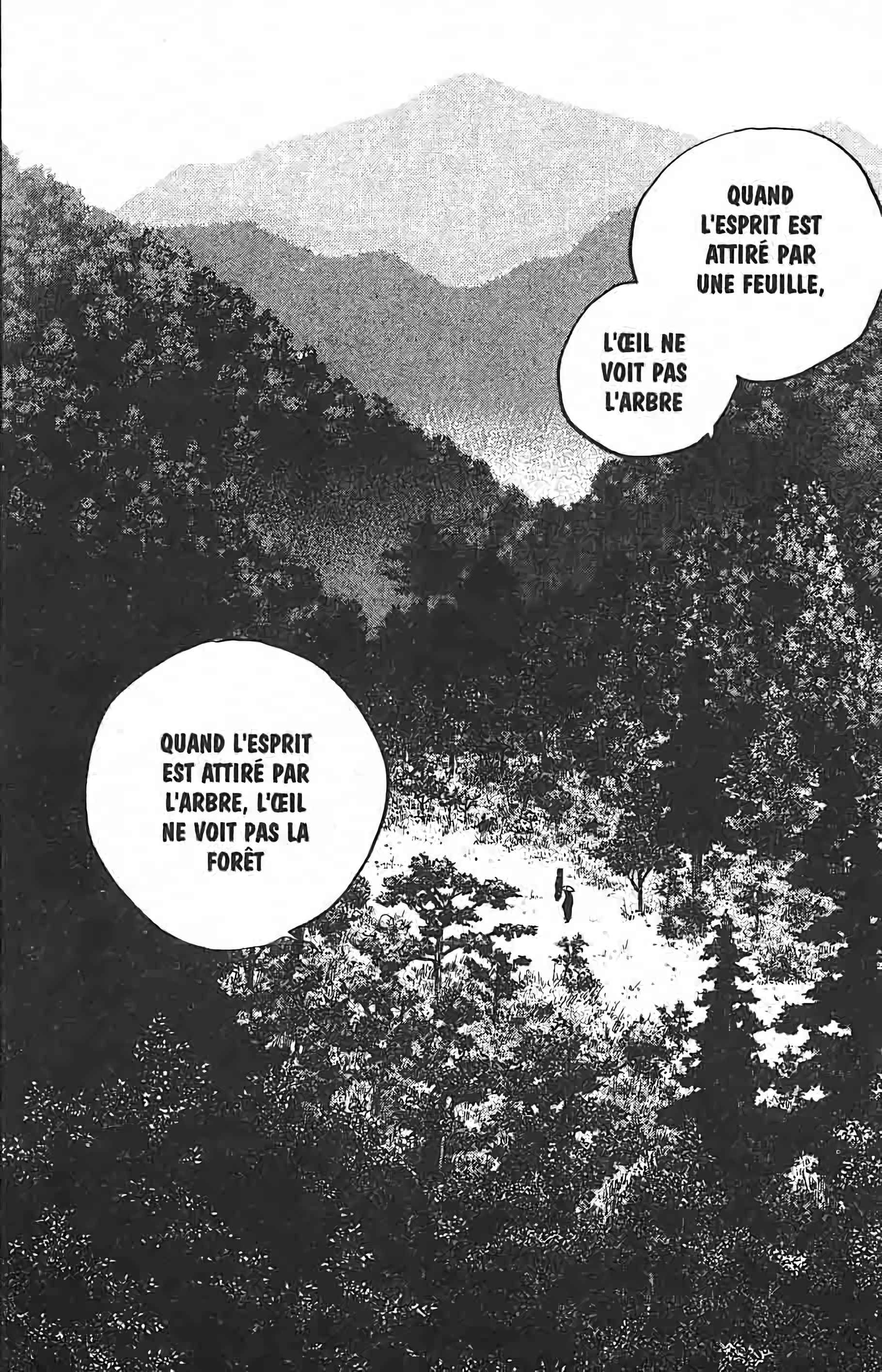 Read Vagabond FR Manga Online