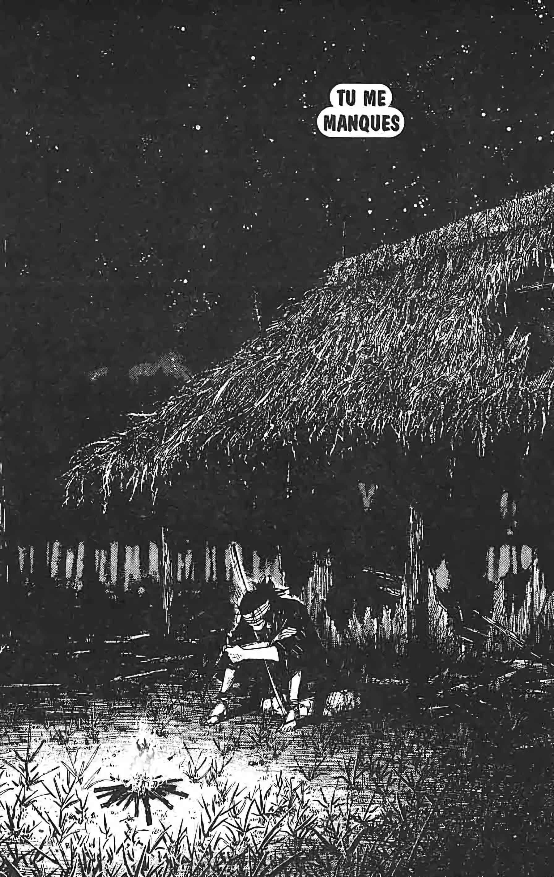 Read Vagabond FR Manga Online