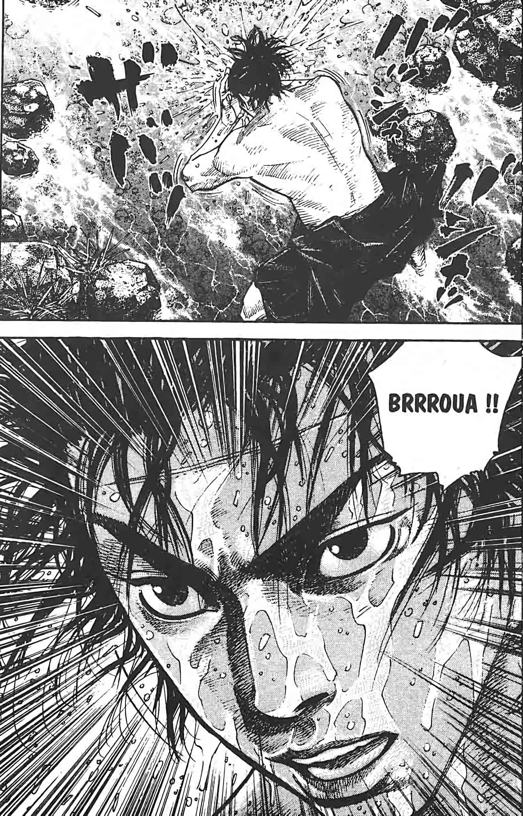 Read Vagabond FR Manga Online