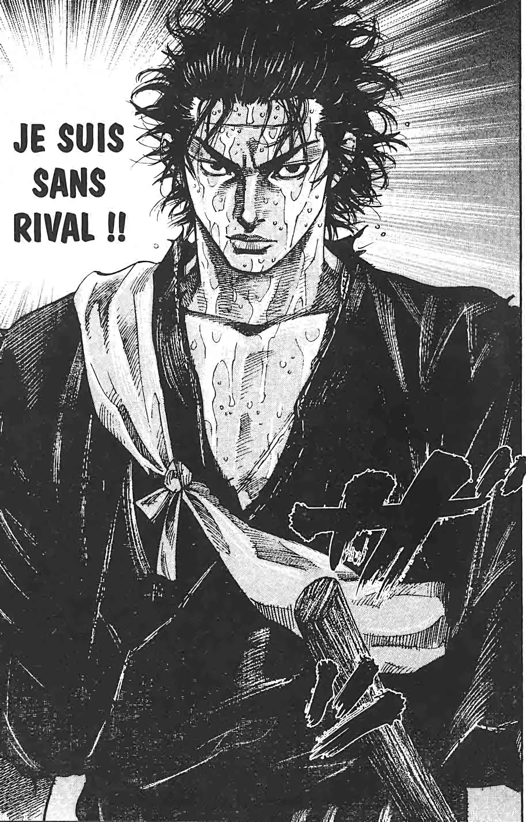 Read Vagabond FR Manga Online