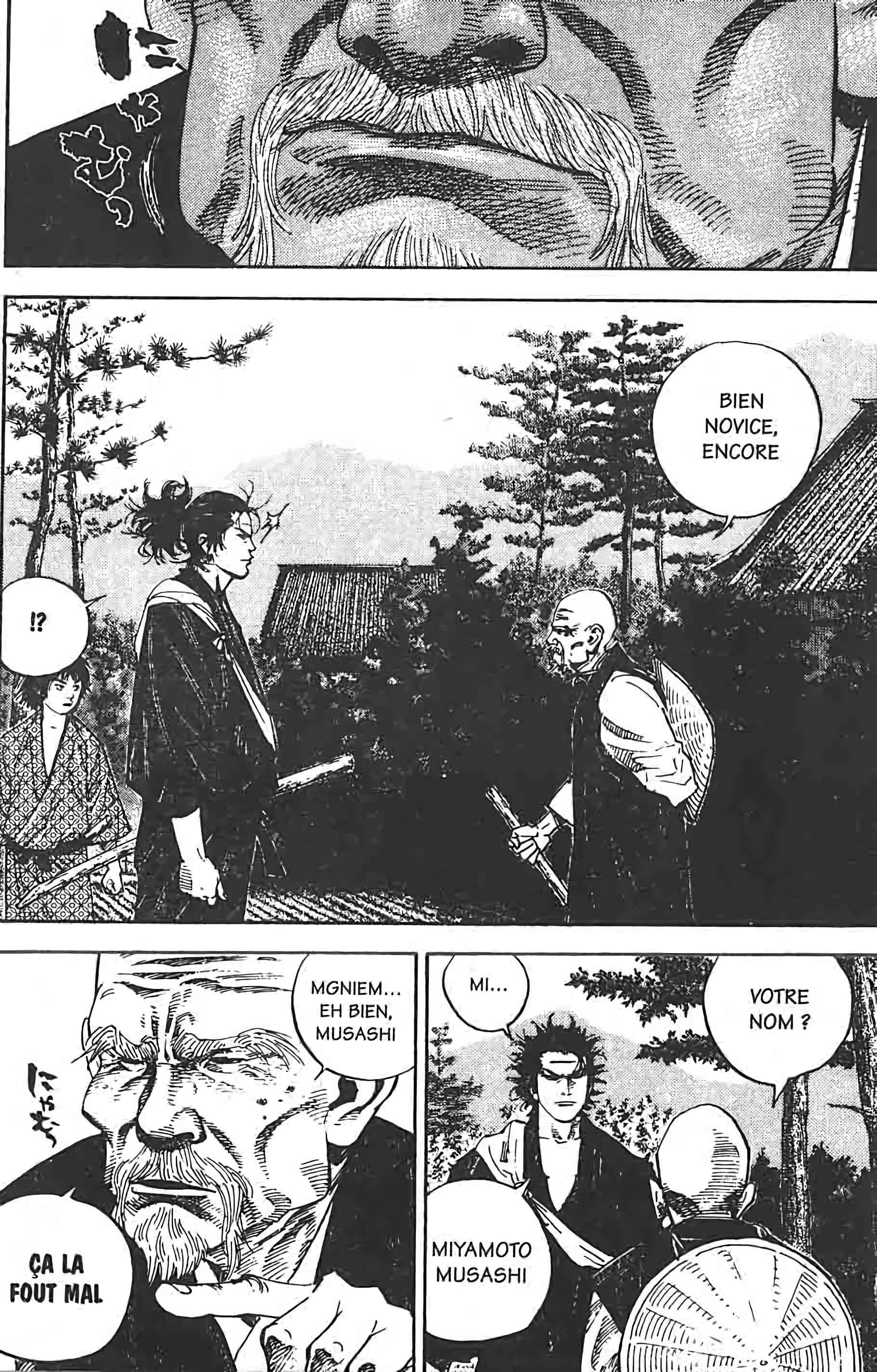 Read Vagabond FR Manga Online