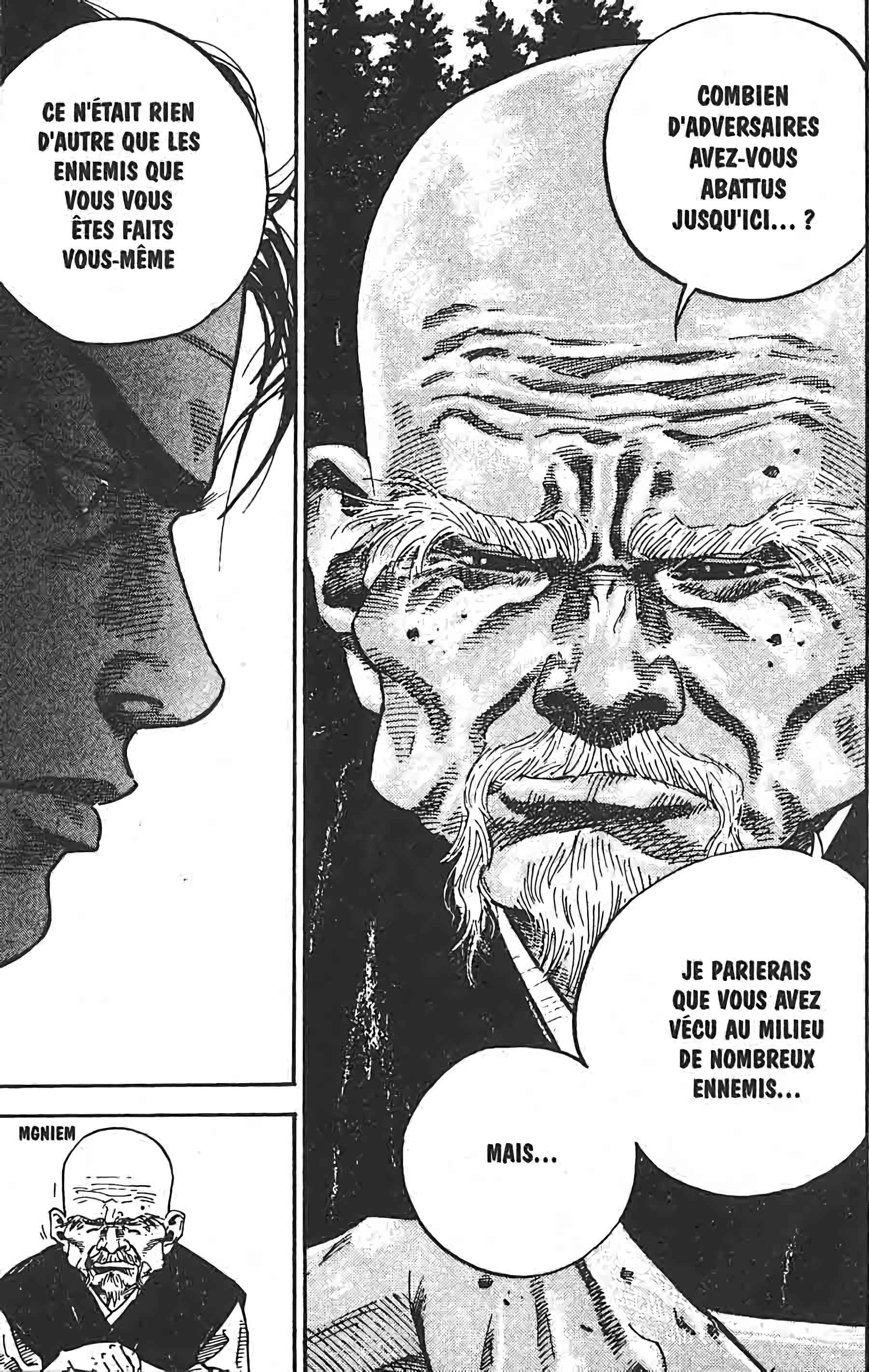 Read Vagabond FR Manga Online