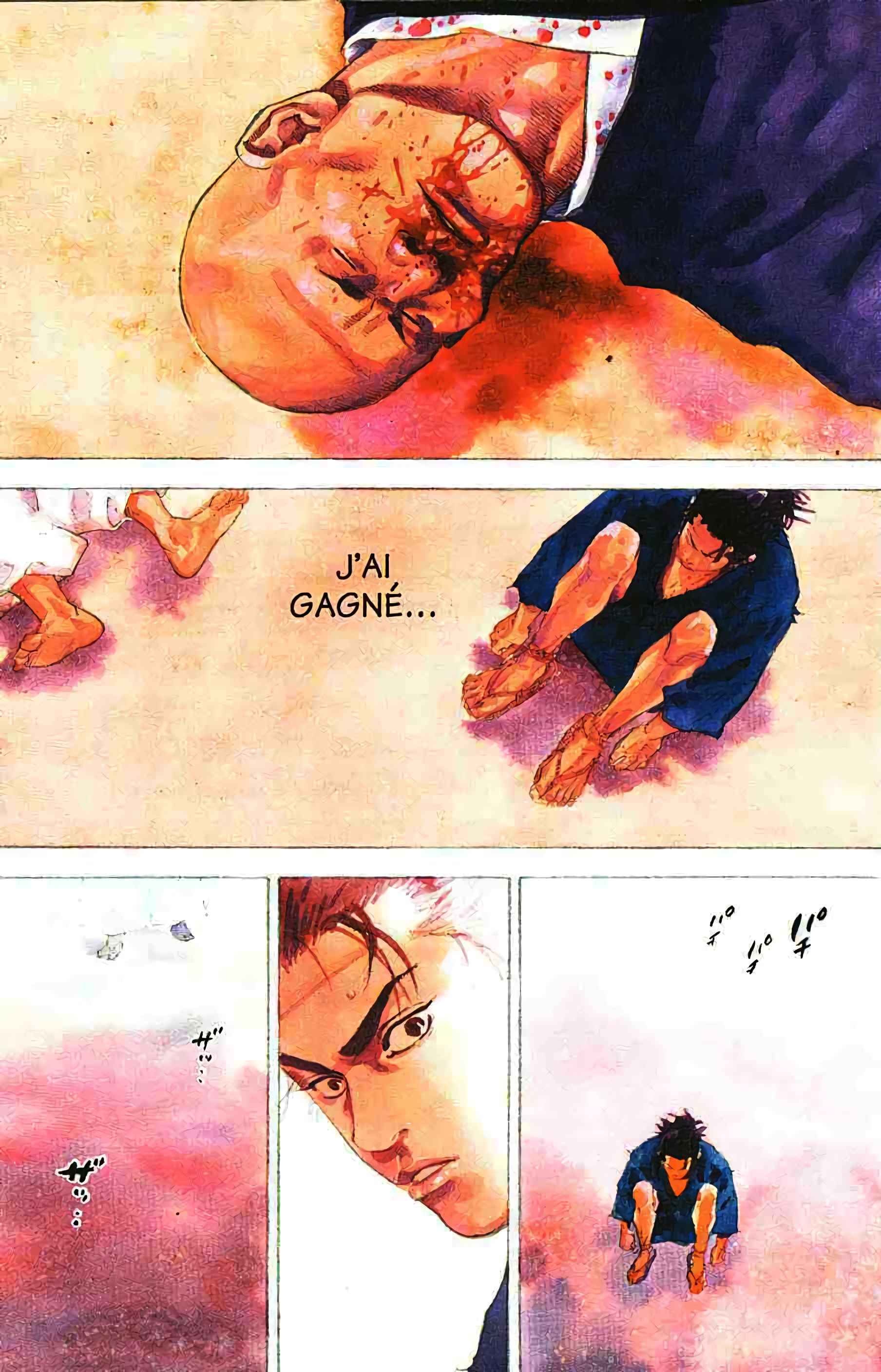Read Vagabond FR Manga Online