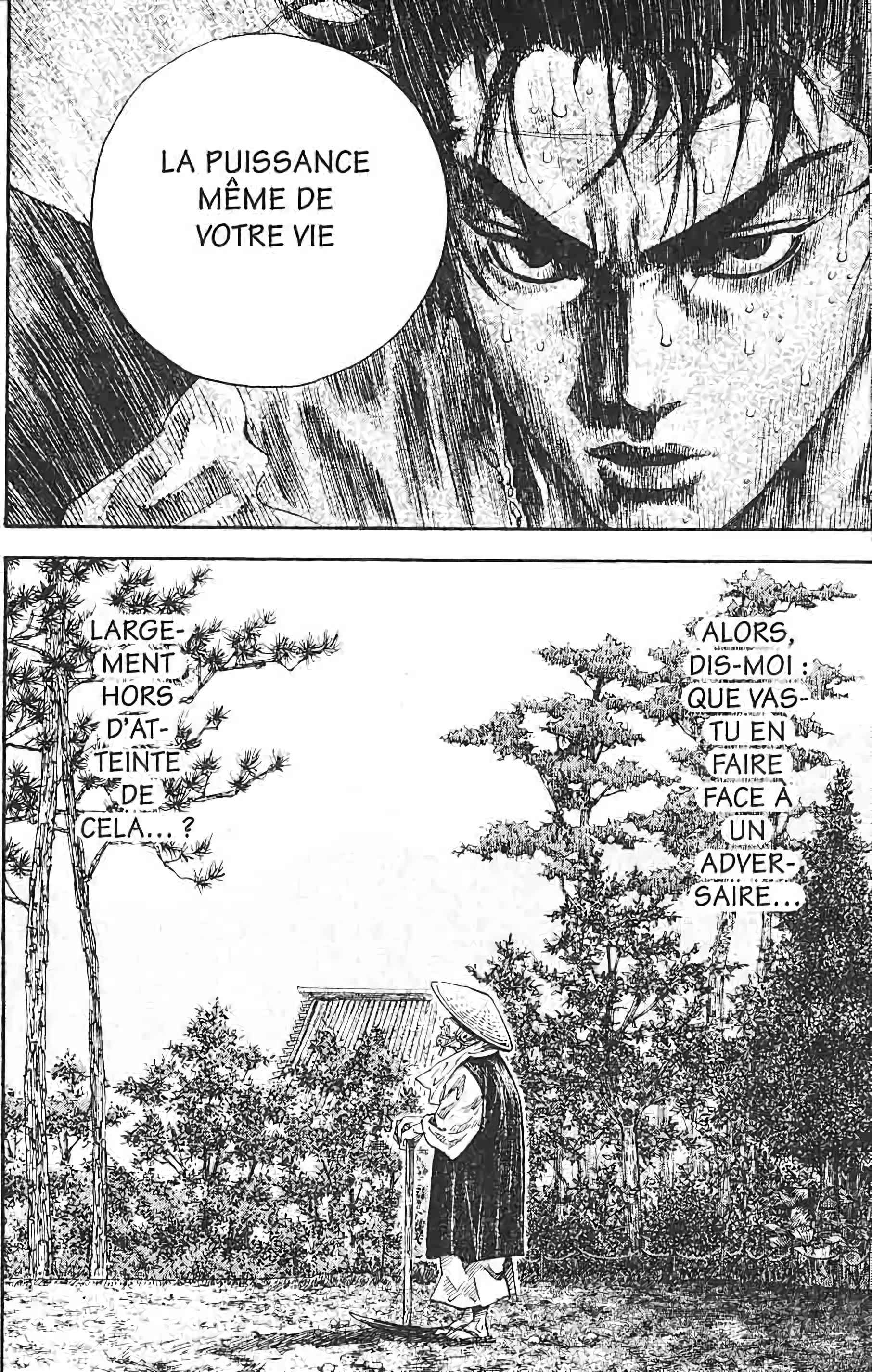 Read Vagabond FR Manga Online