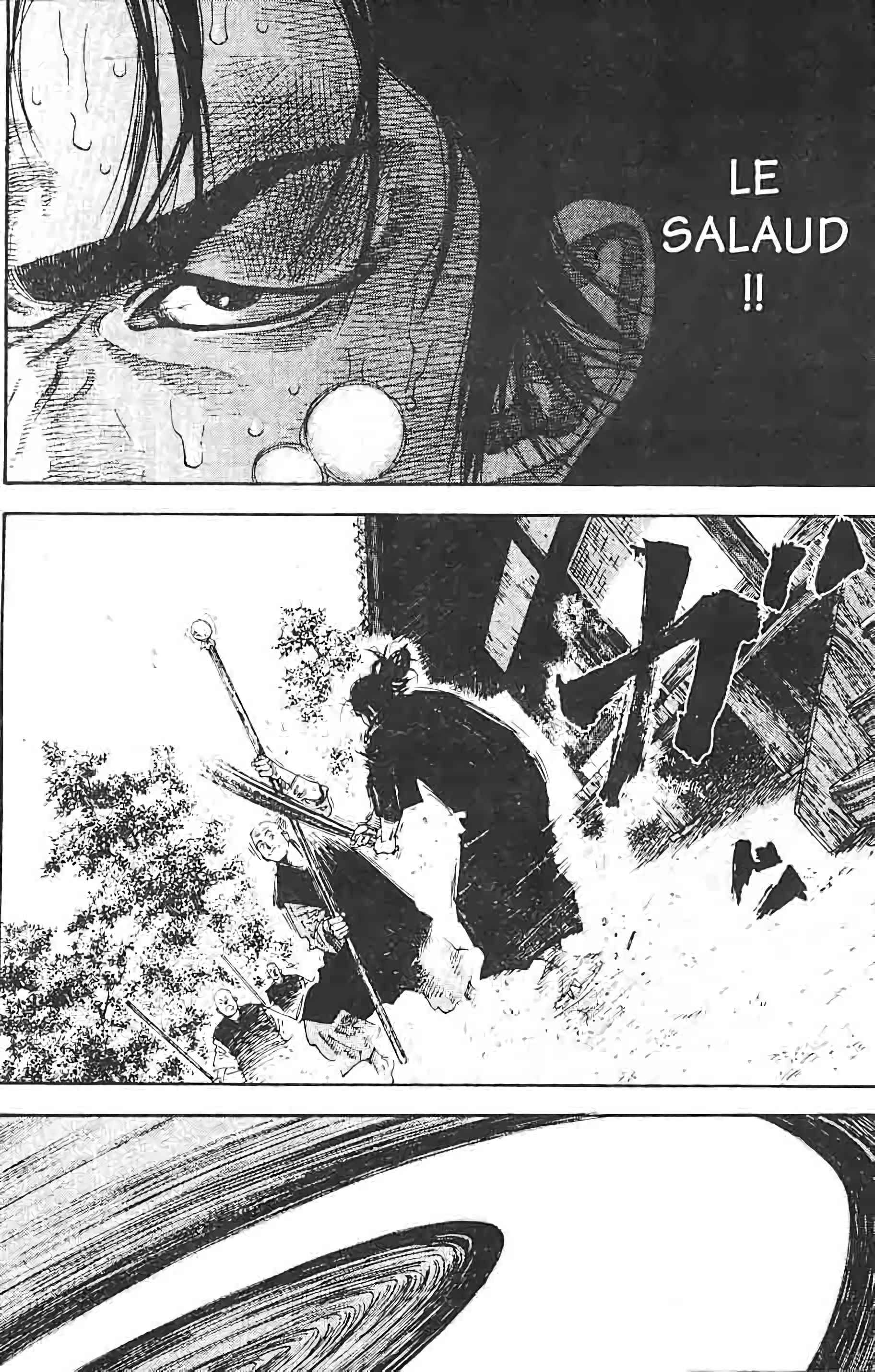 Read Vagabond FR Manga Online