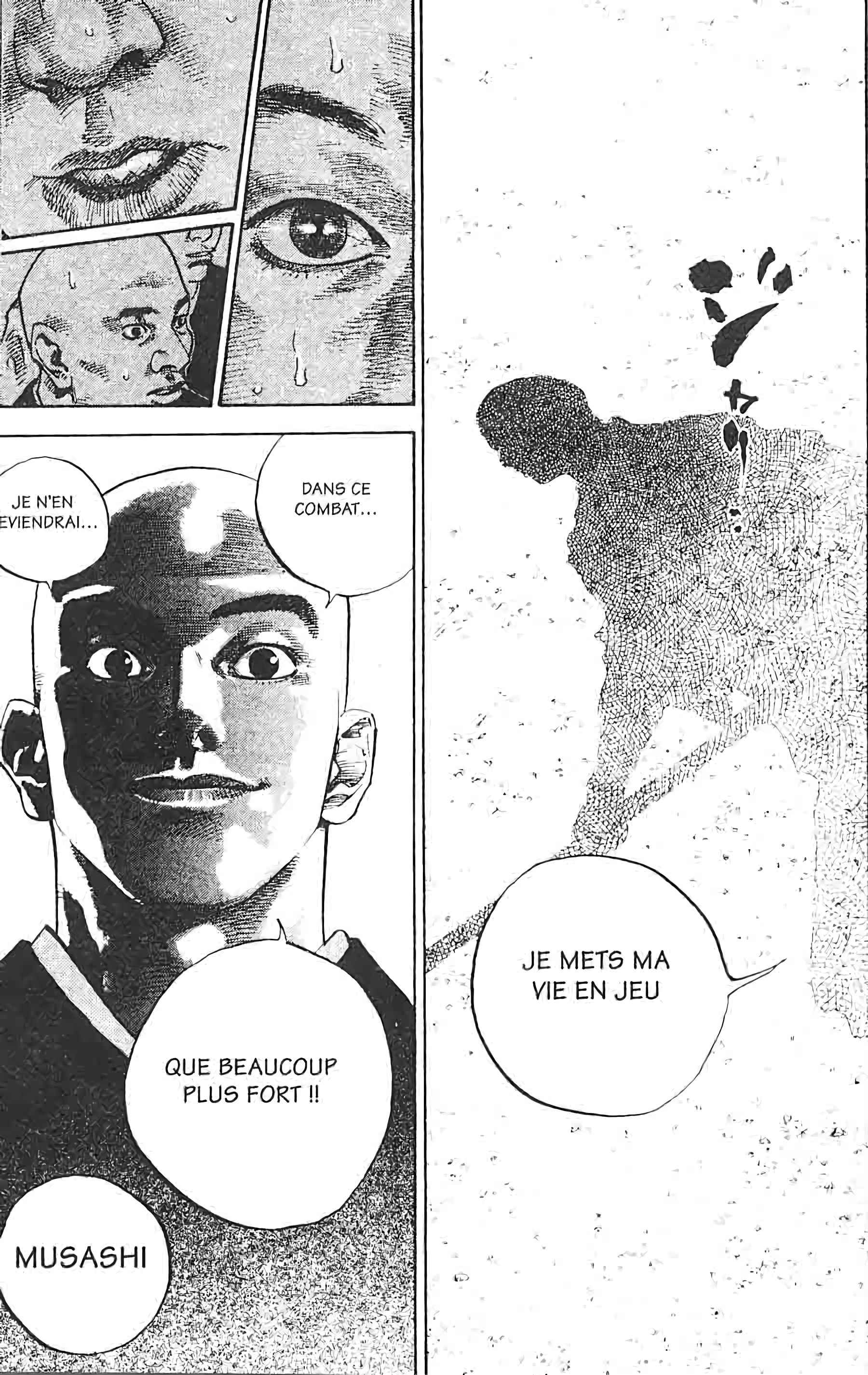 Read Vagabond FR Manga Online