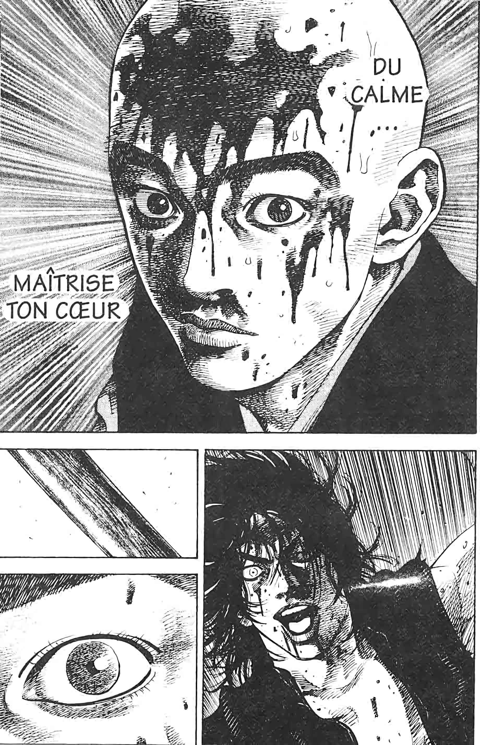 Read Vagabond FR Manga Online