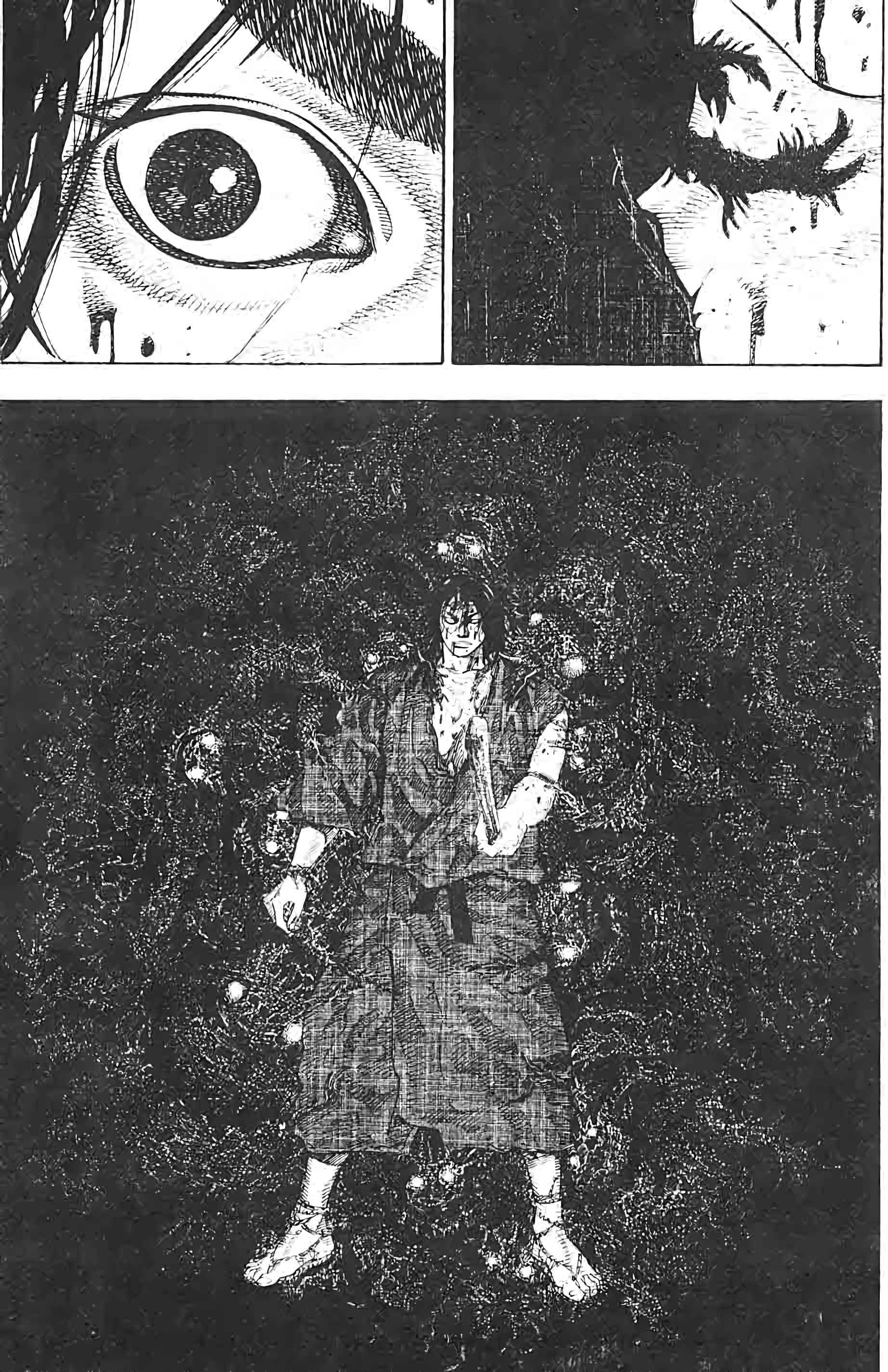 Read Vagabond FR Manga Online