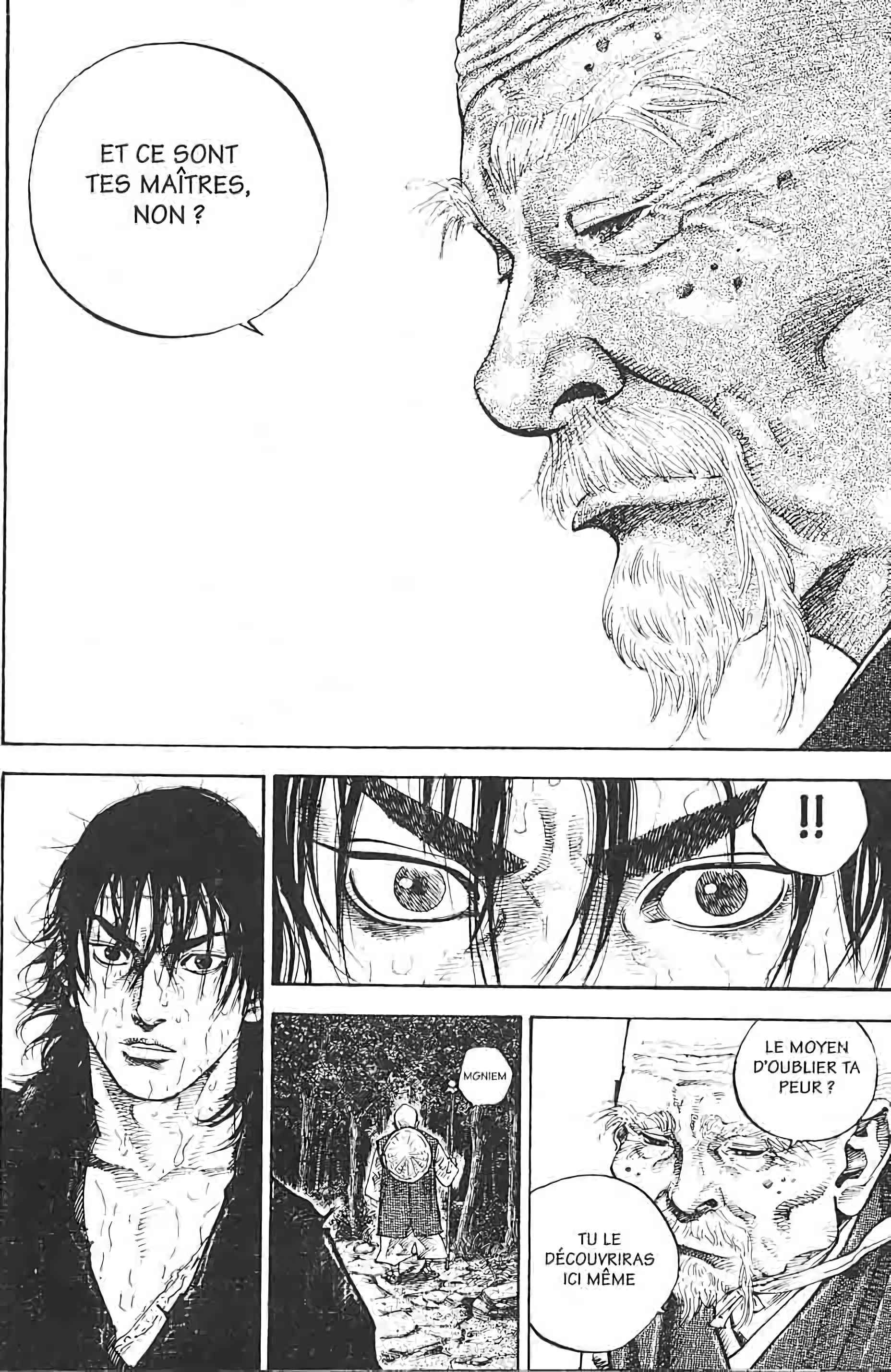 Read Vagabond FR Manga Online
