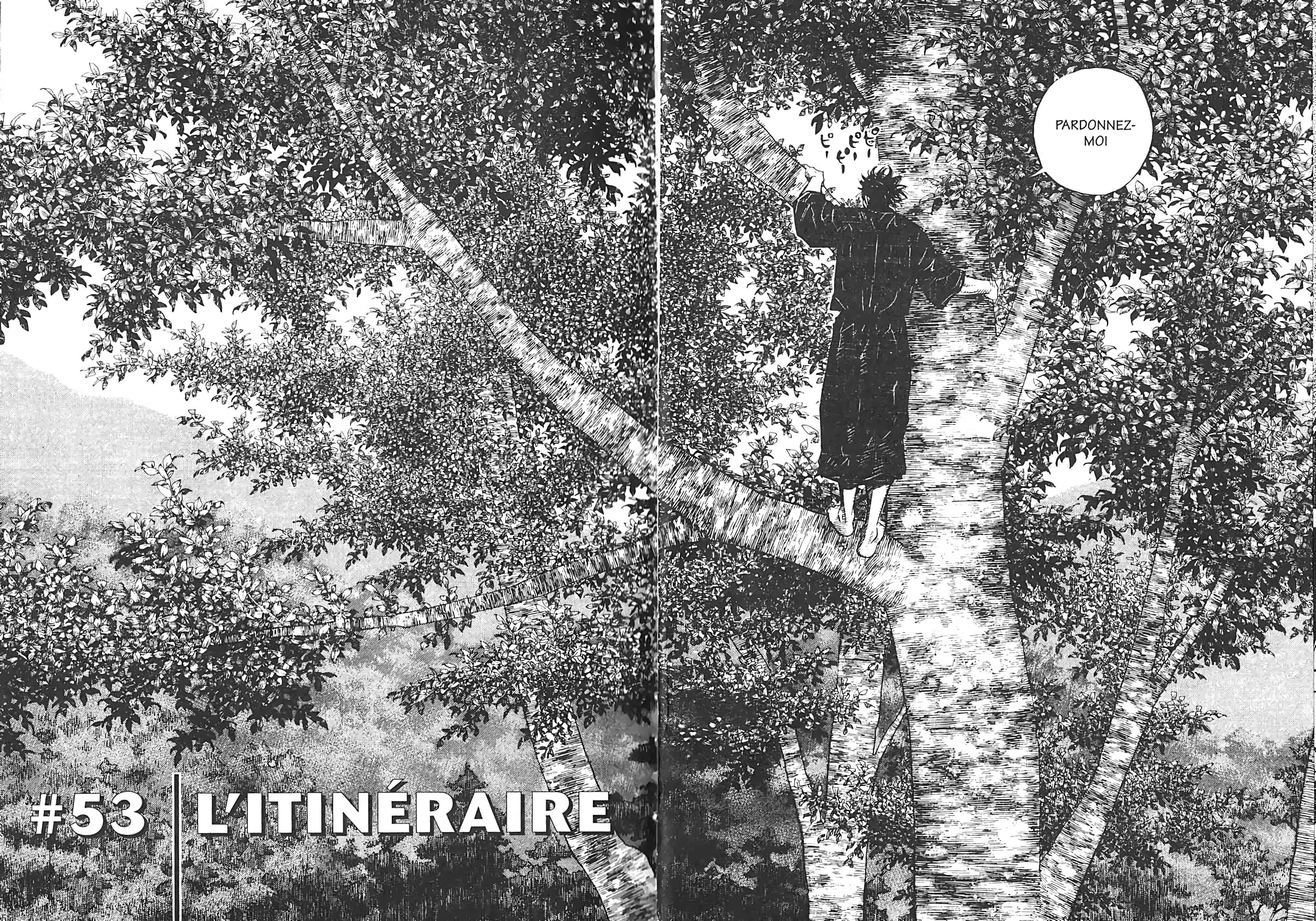 Read Vagabond FR Manga Online