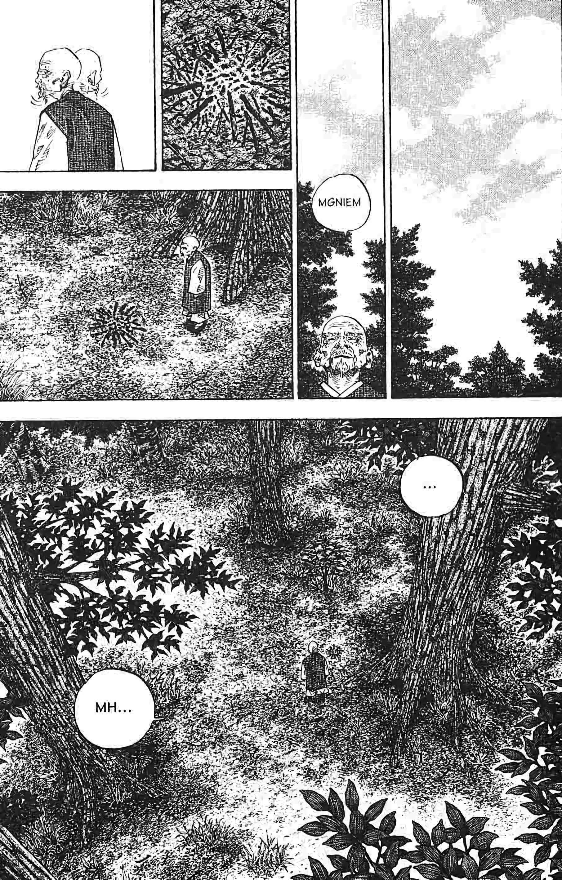 Read Vagabond FR Manga Online