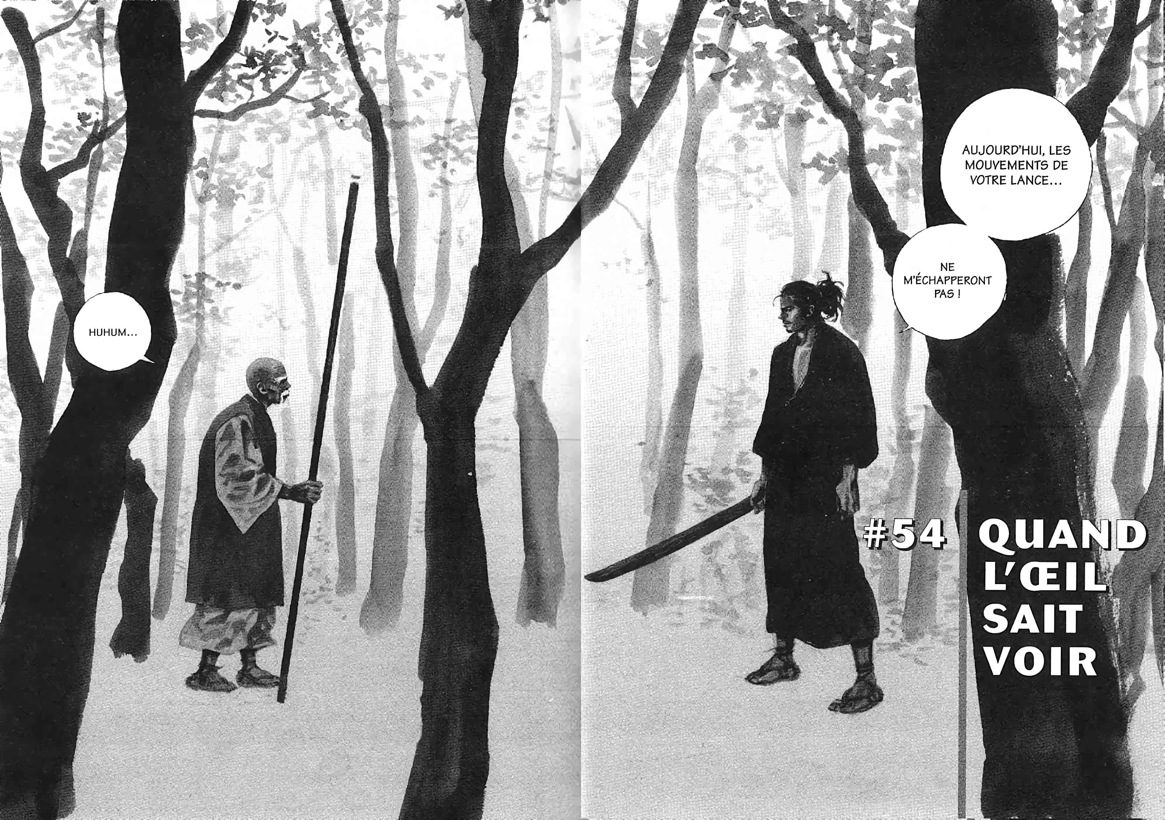 Read Vagabond FR Manga Online