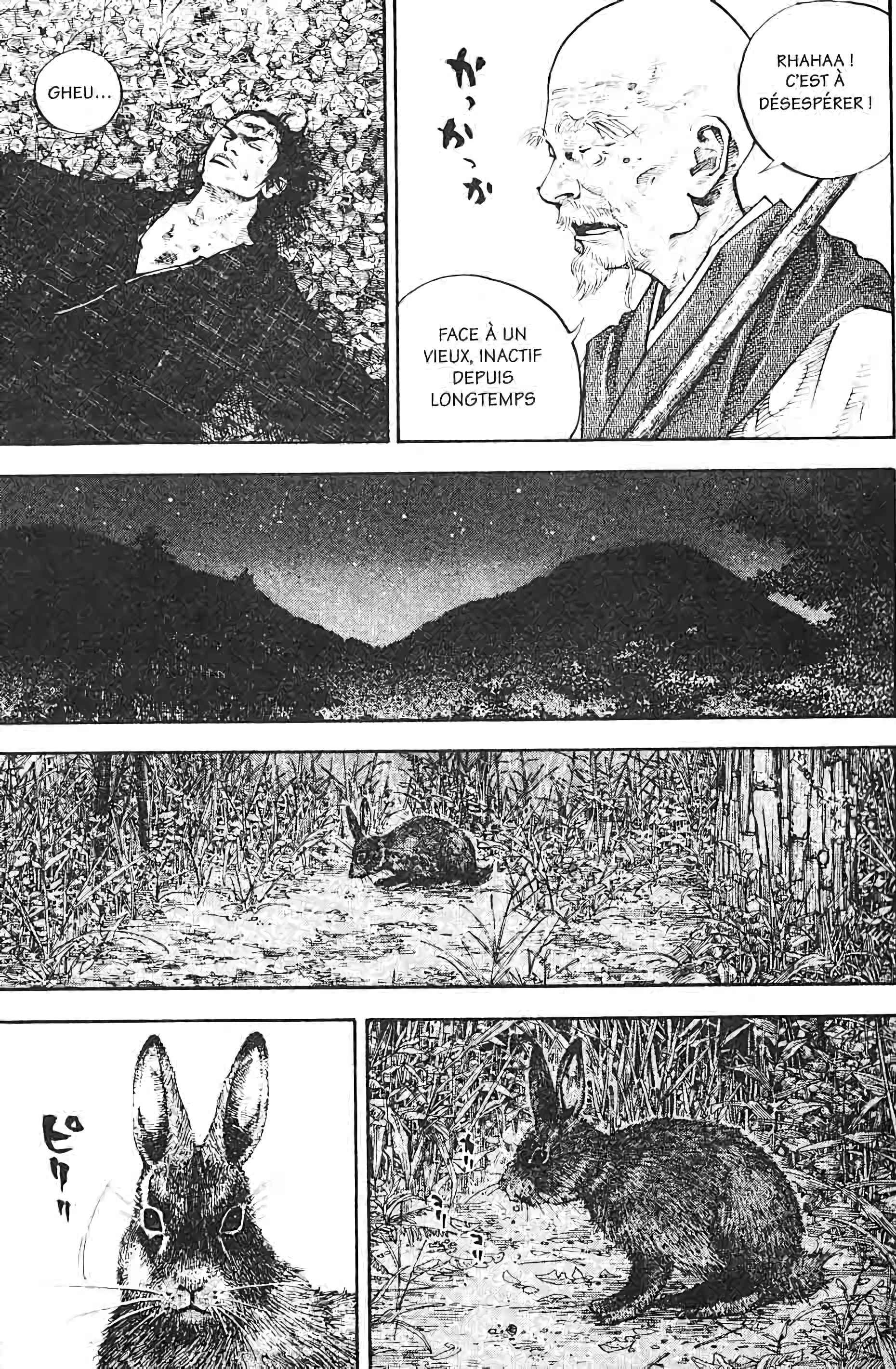 Read Vagabond FR Manga Online