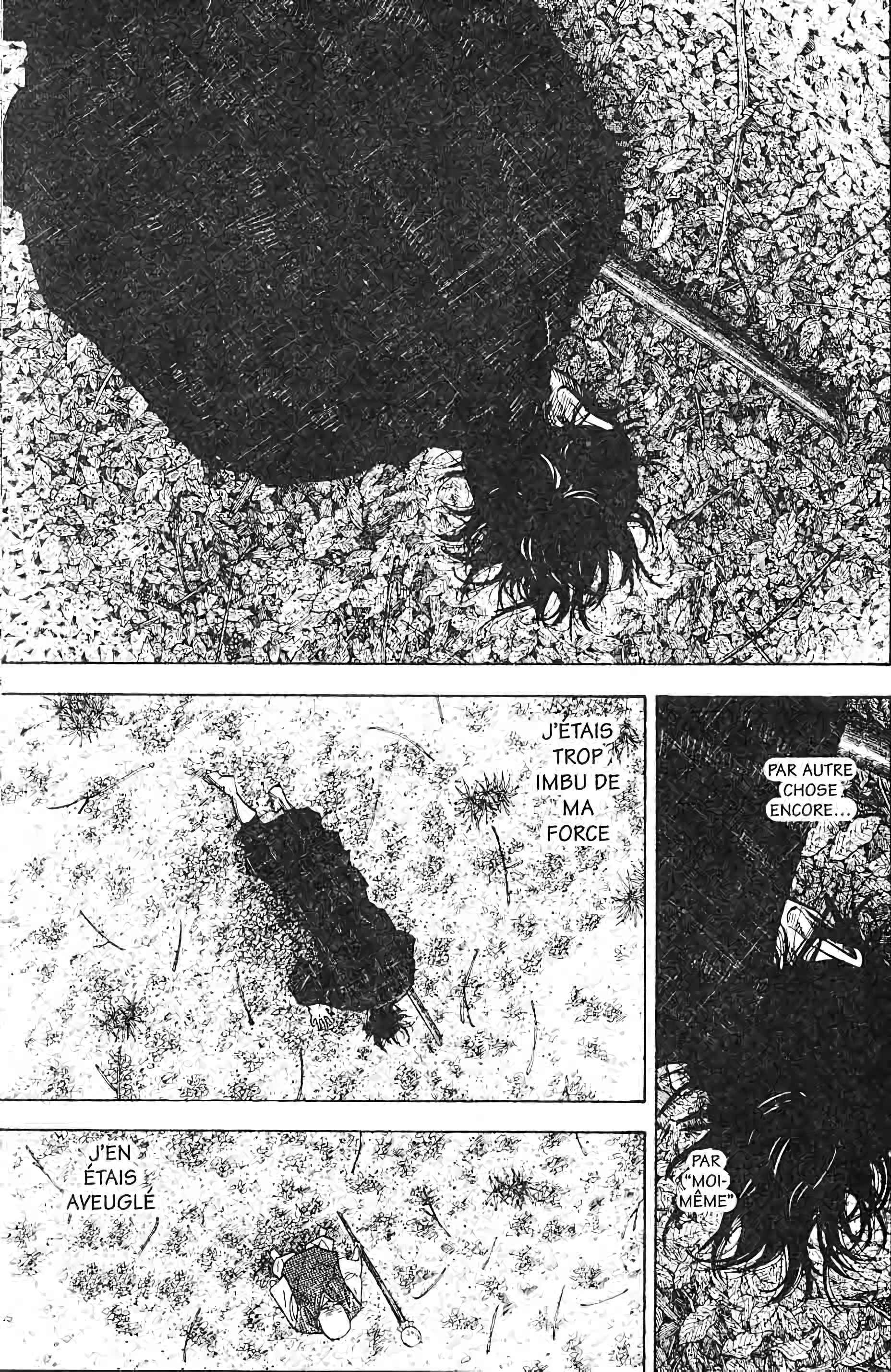 Read Vagabond FR Manga Online
