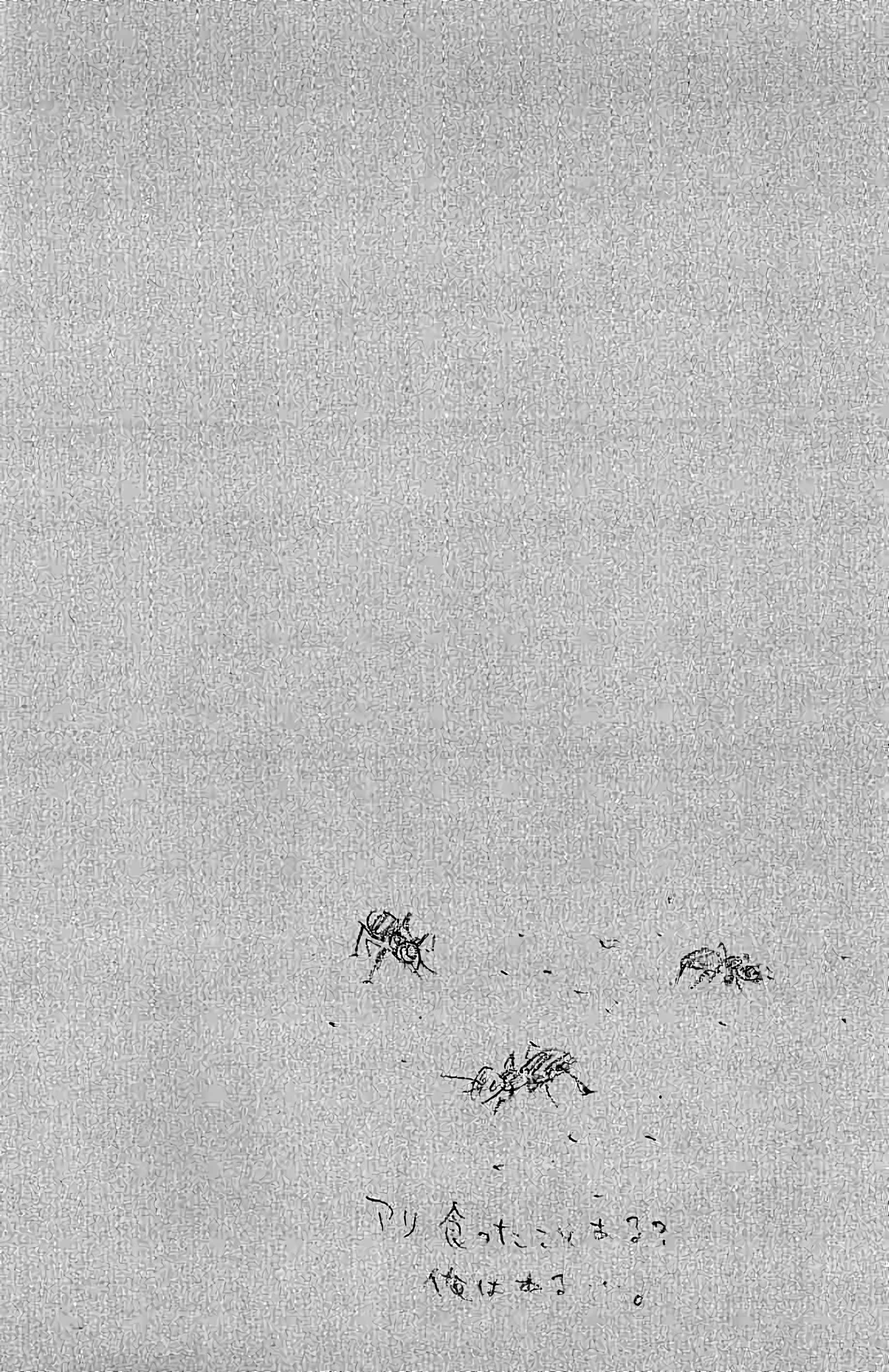 Read Vagabond FR Manga Online