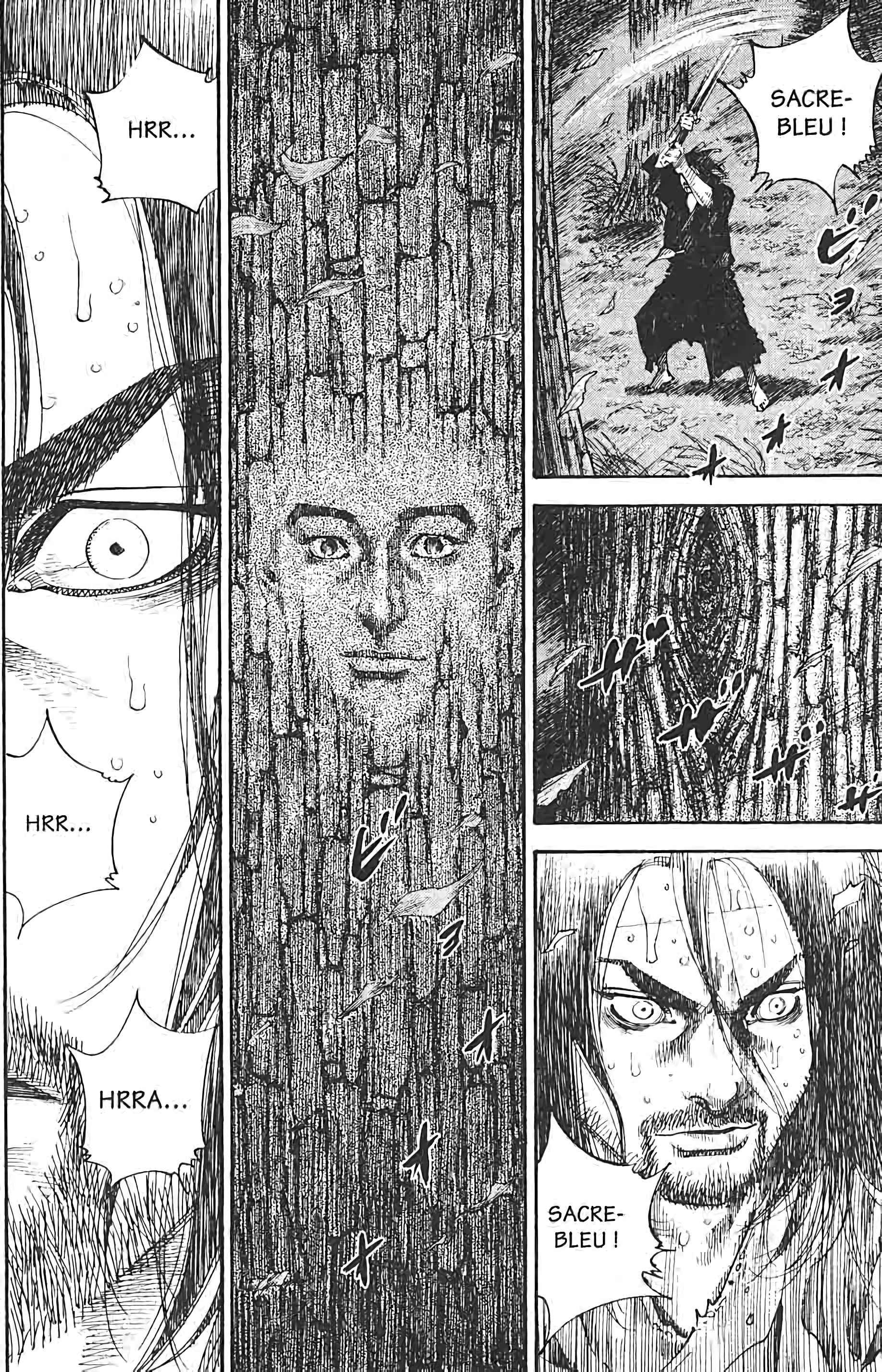 Read Vagabond FR Manga Online