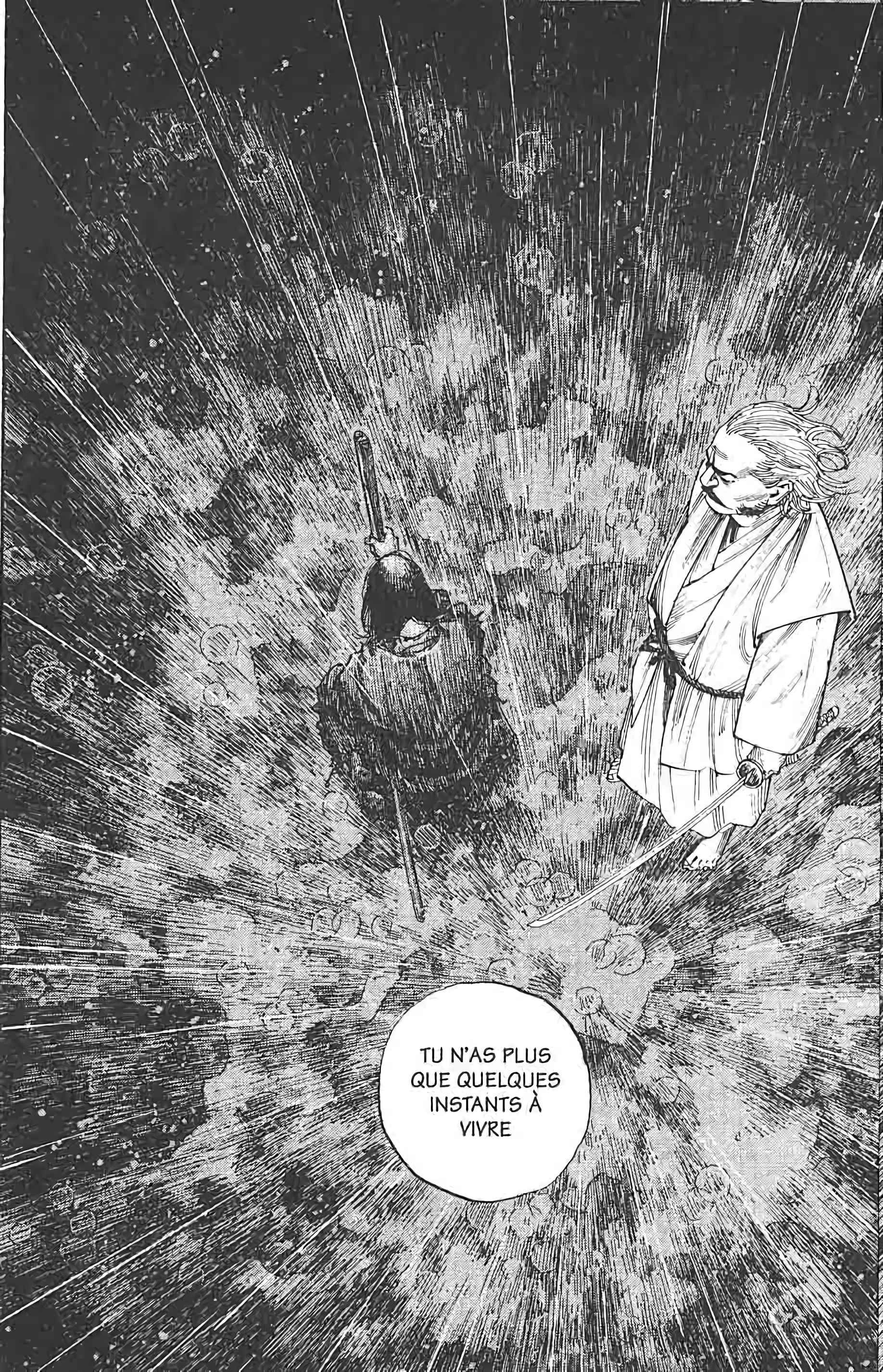 Read Vagabond FR Manga Online