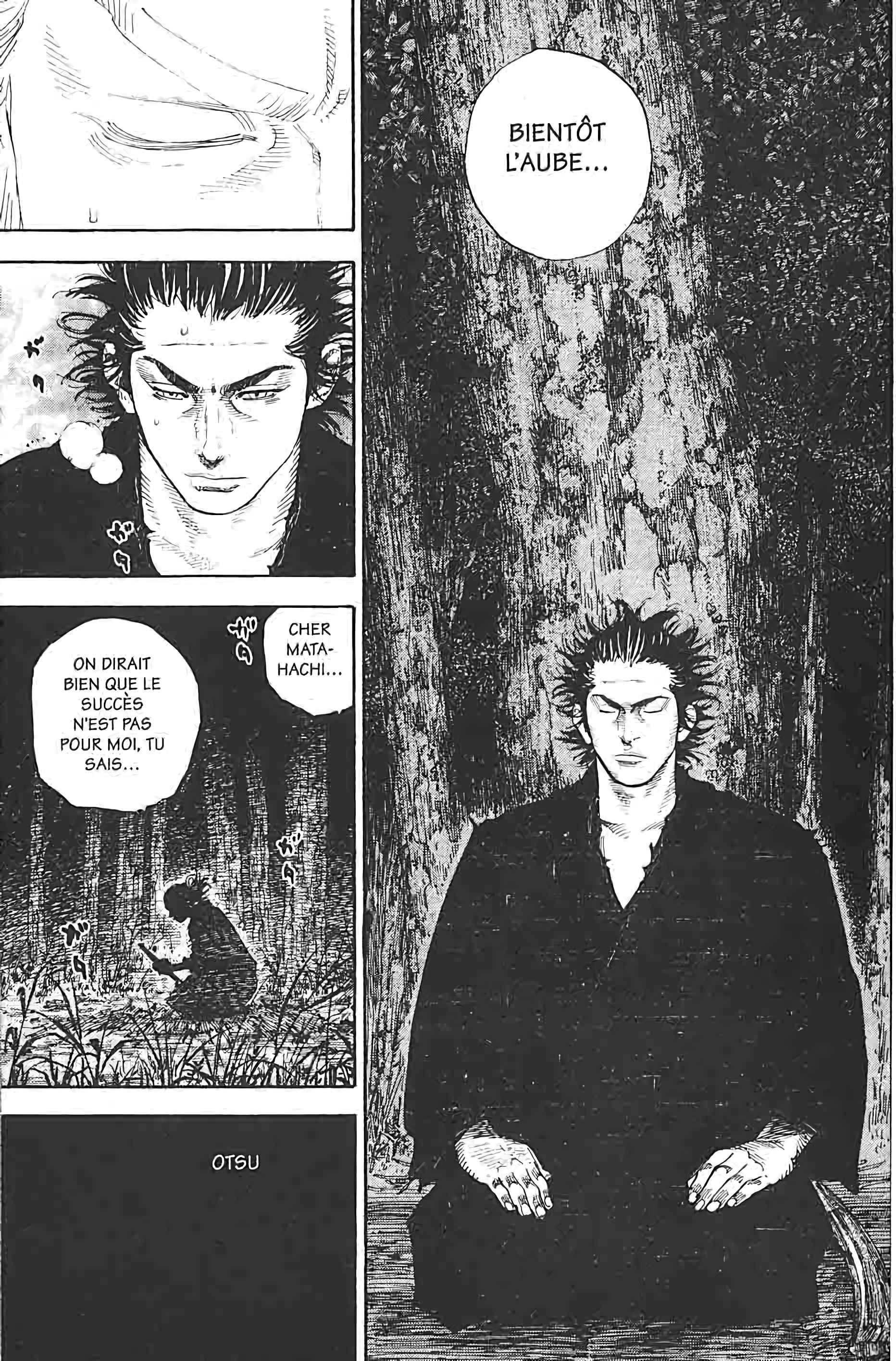 Read Vagabond FR Manga Online