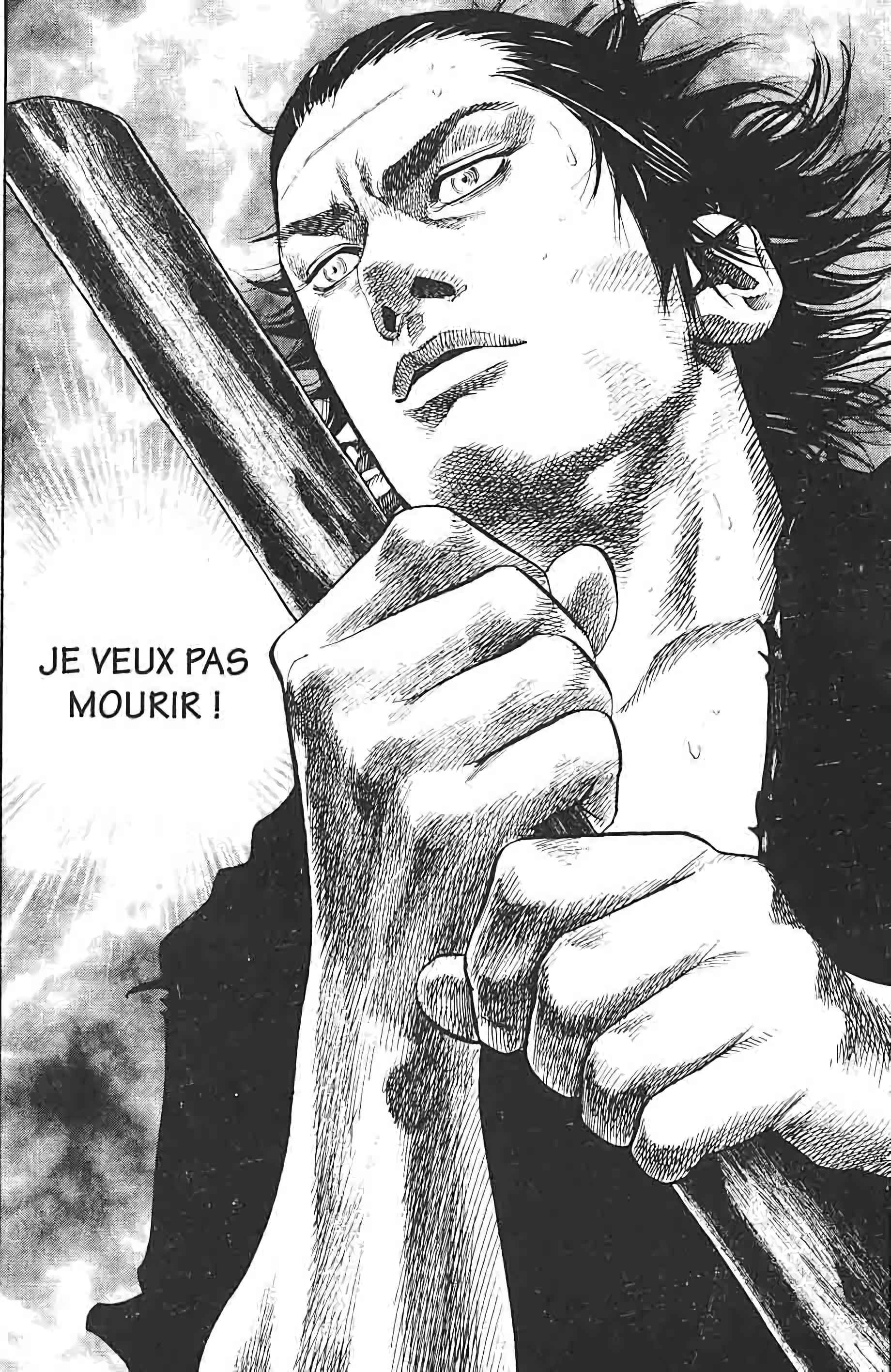Read Vagabond FR Manga Online