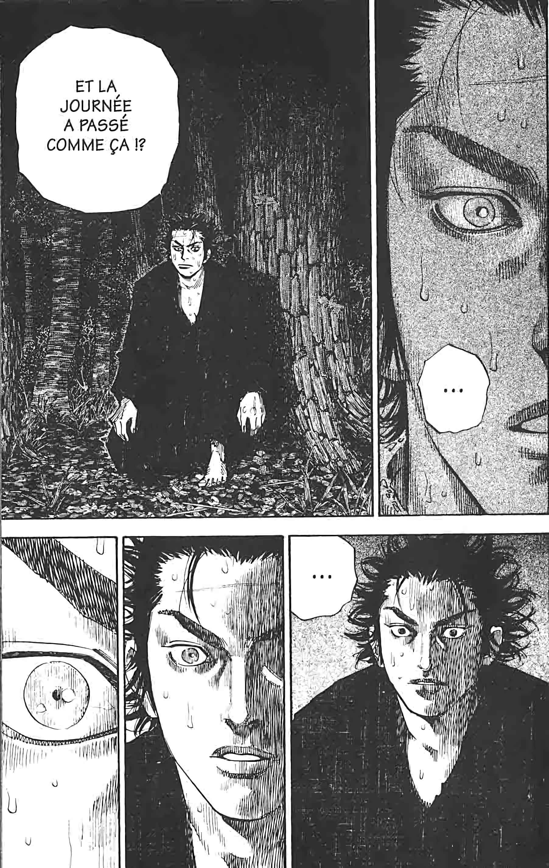 Read Vagabond FR Manga Online