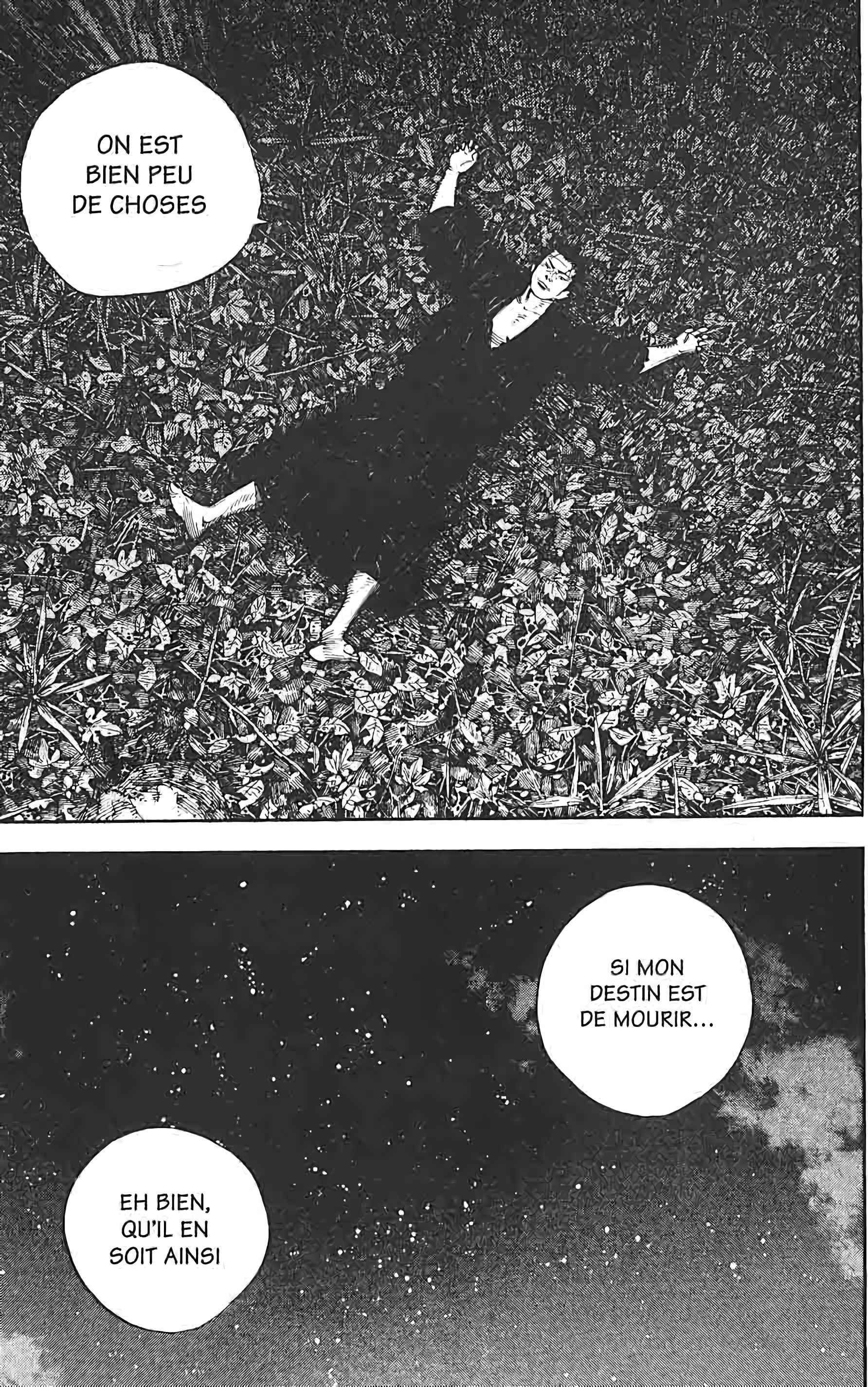 Read Vagabond FR Manga Online