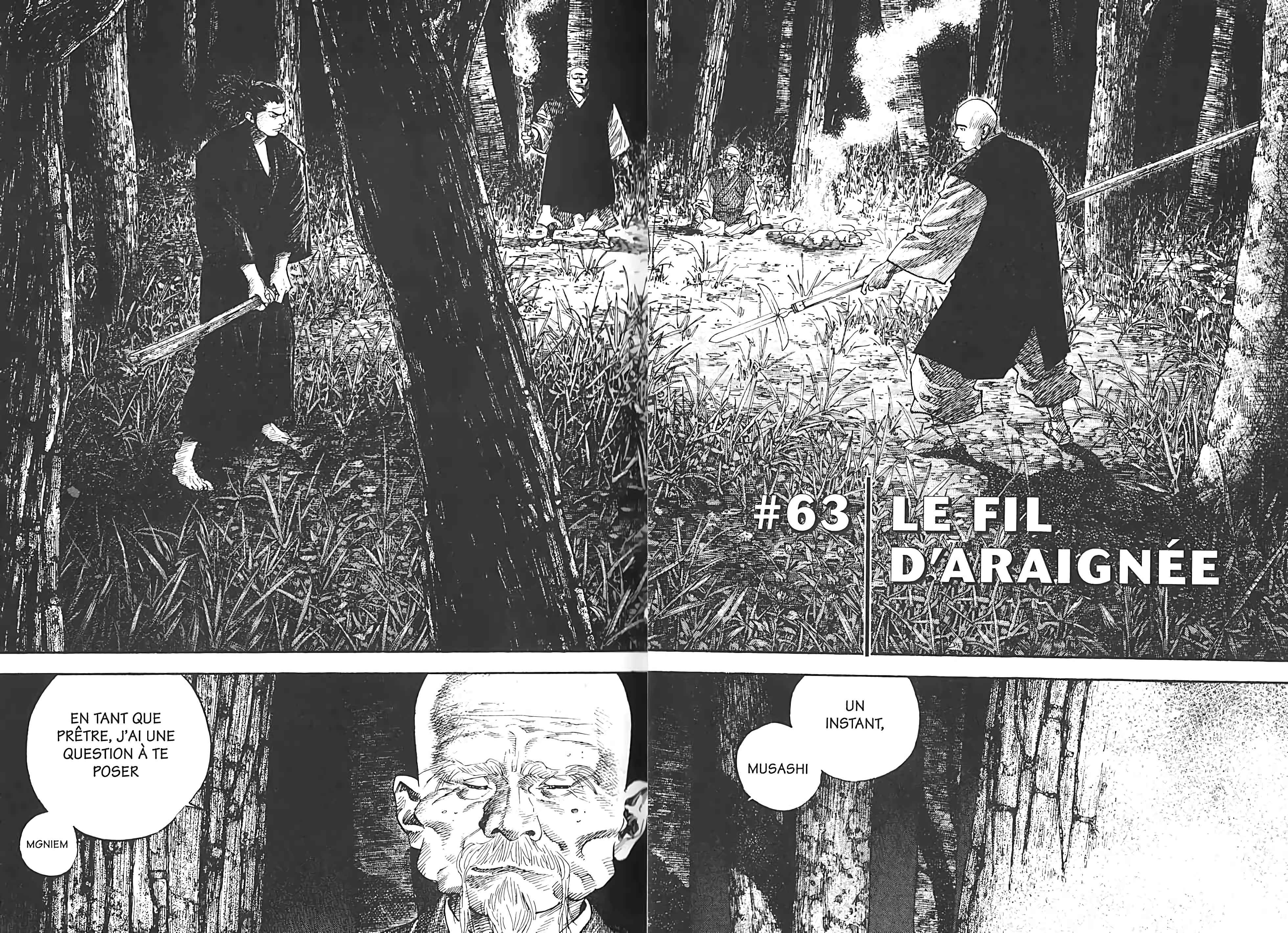 Read Vagabond FR Manga Online