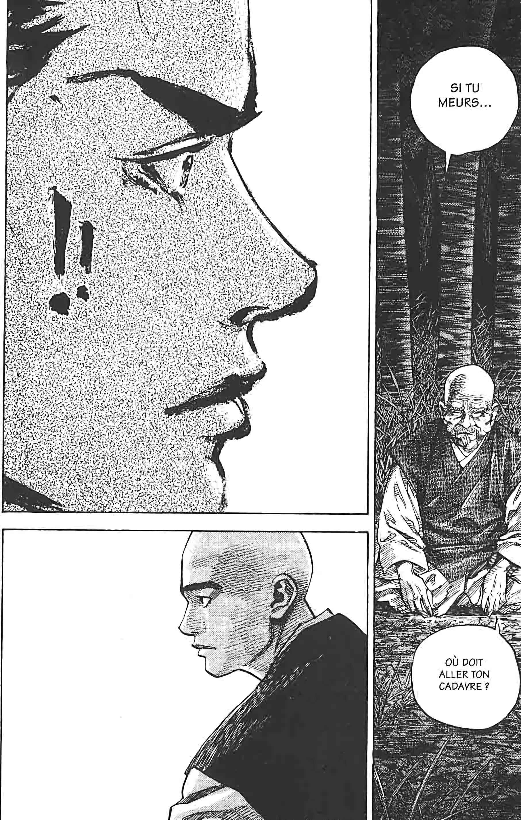 Read Vagabond FR Manga Online