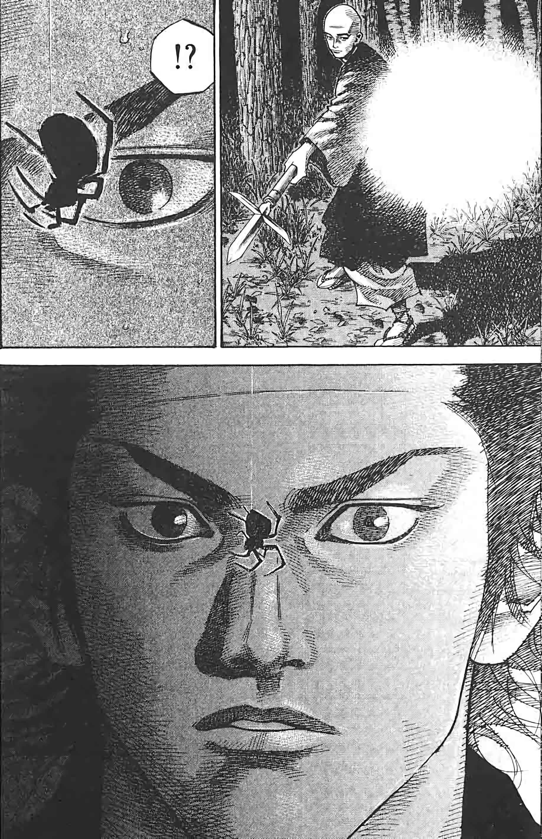 Read Vagabond FR Manga Online