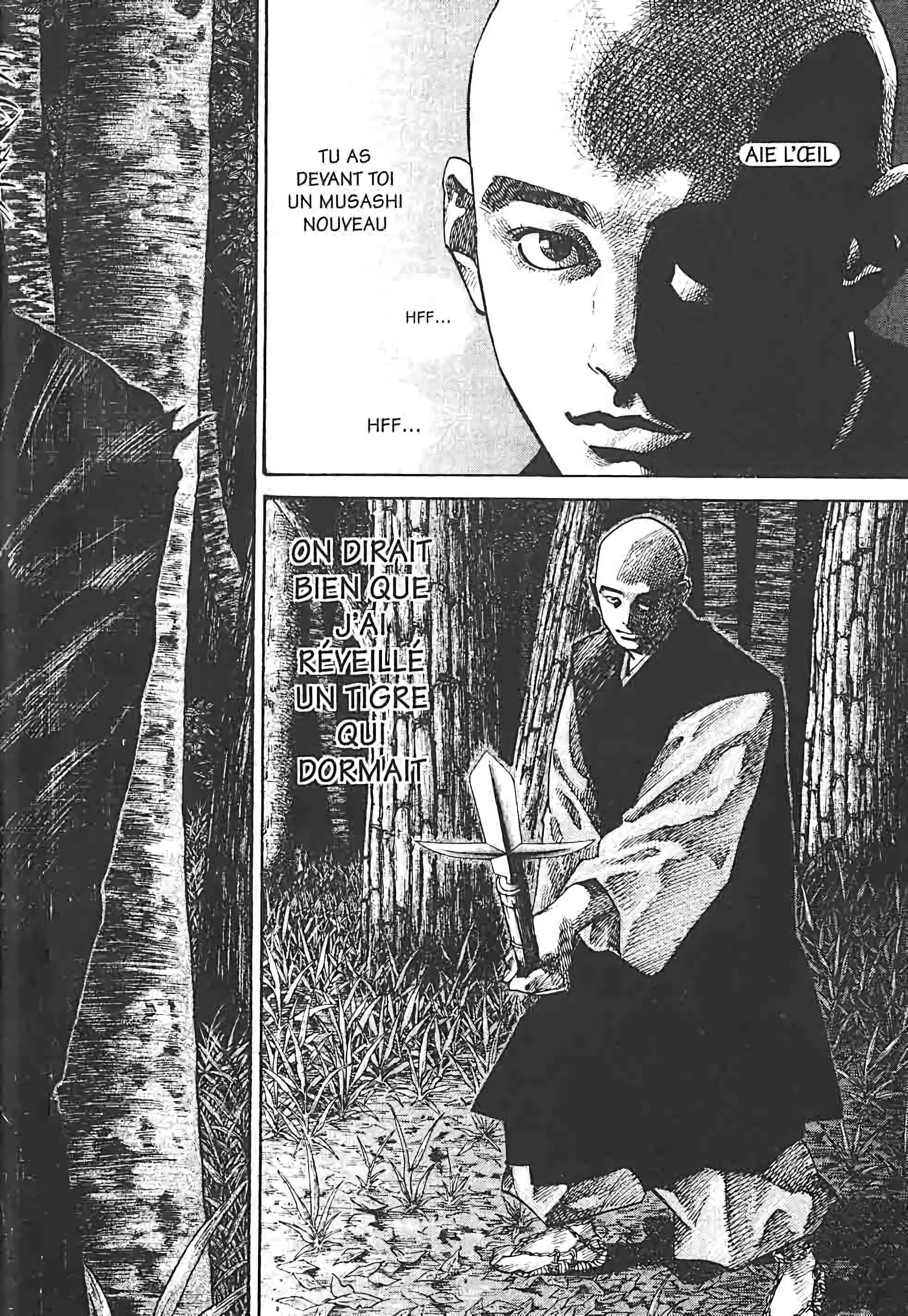 Read Vagabond FR Manga Online