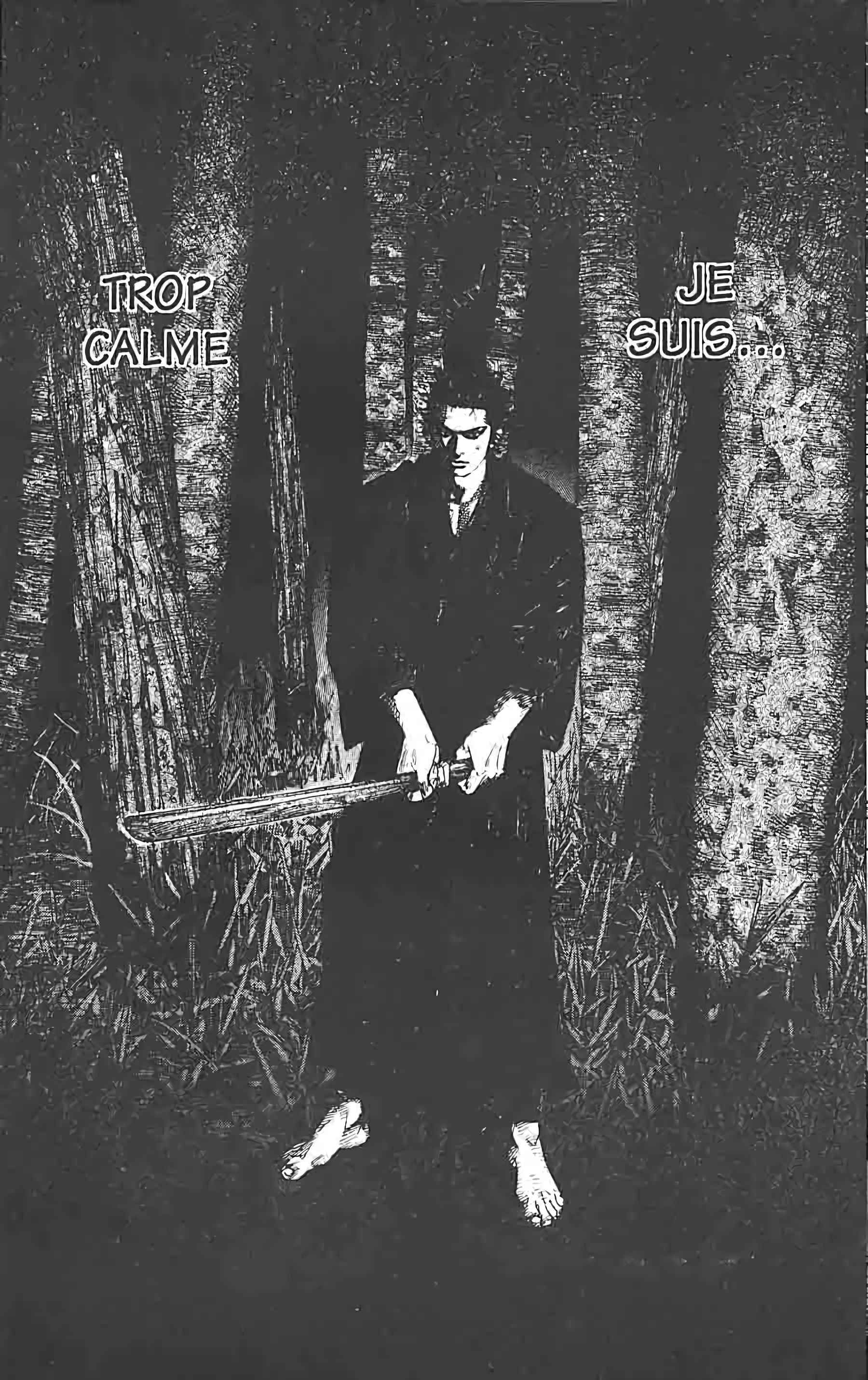 Read Vagabond FR Manga Online