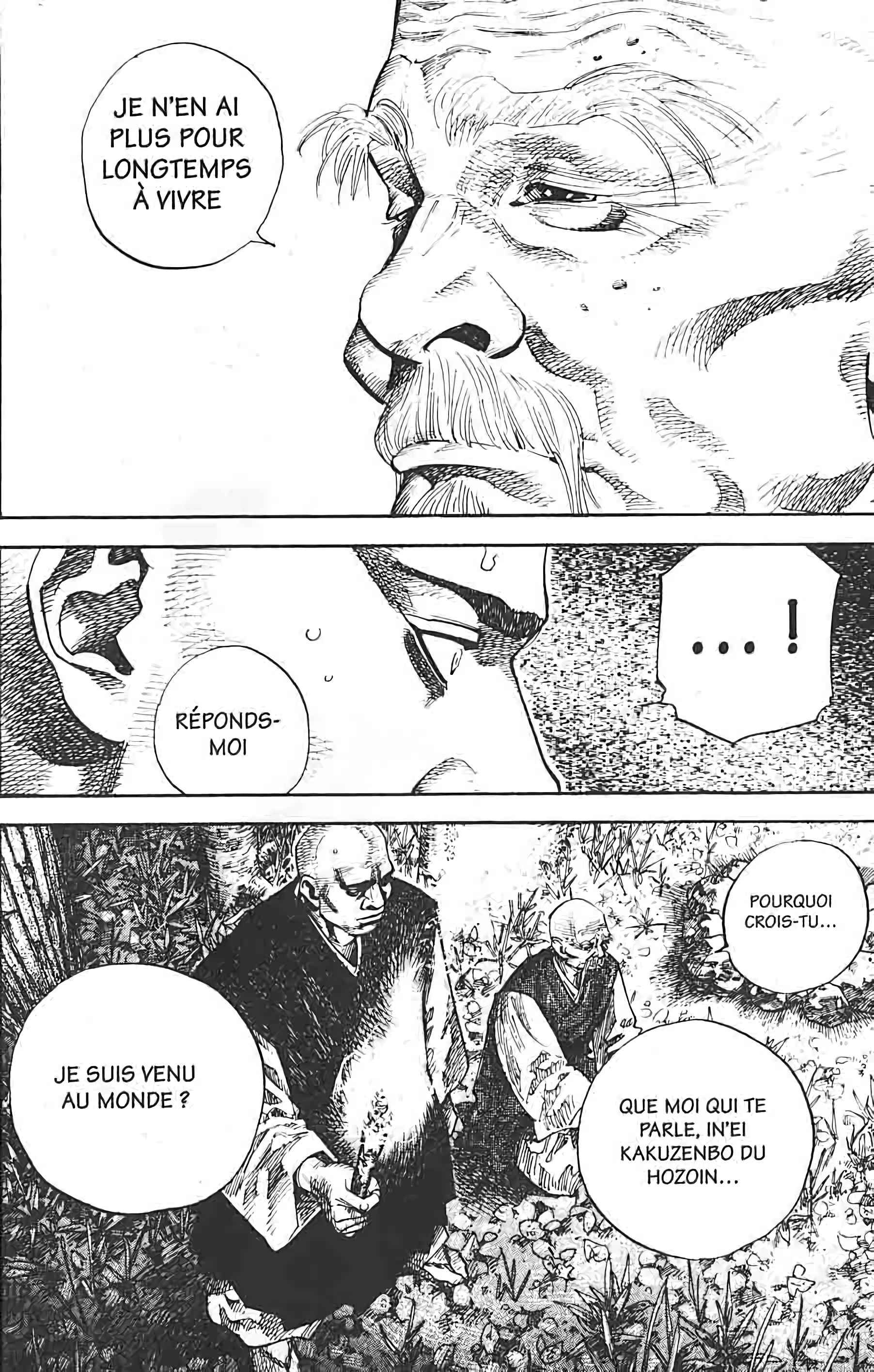 Read Vagabond FR Manga Online