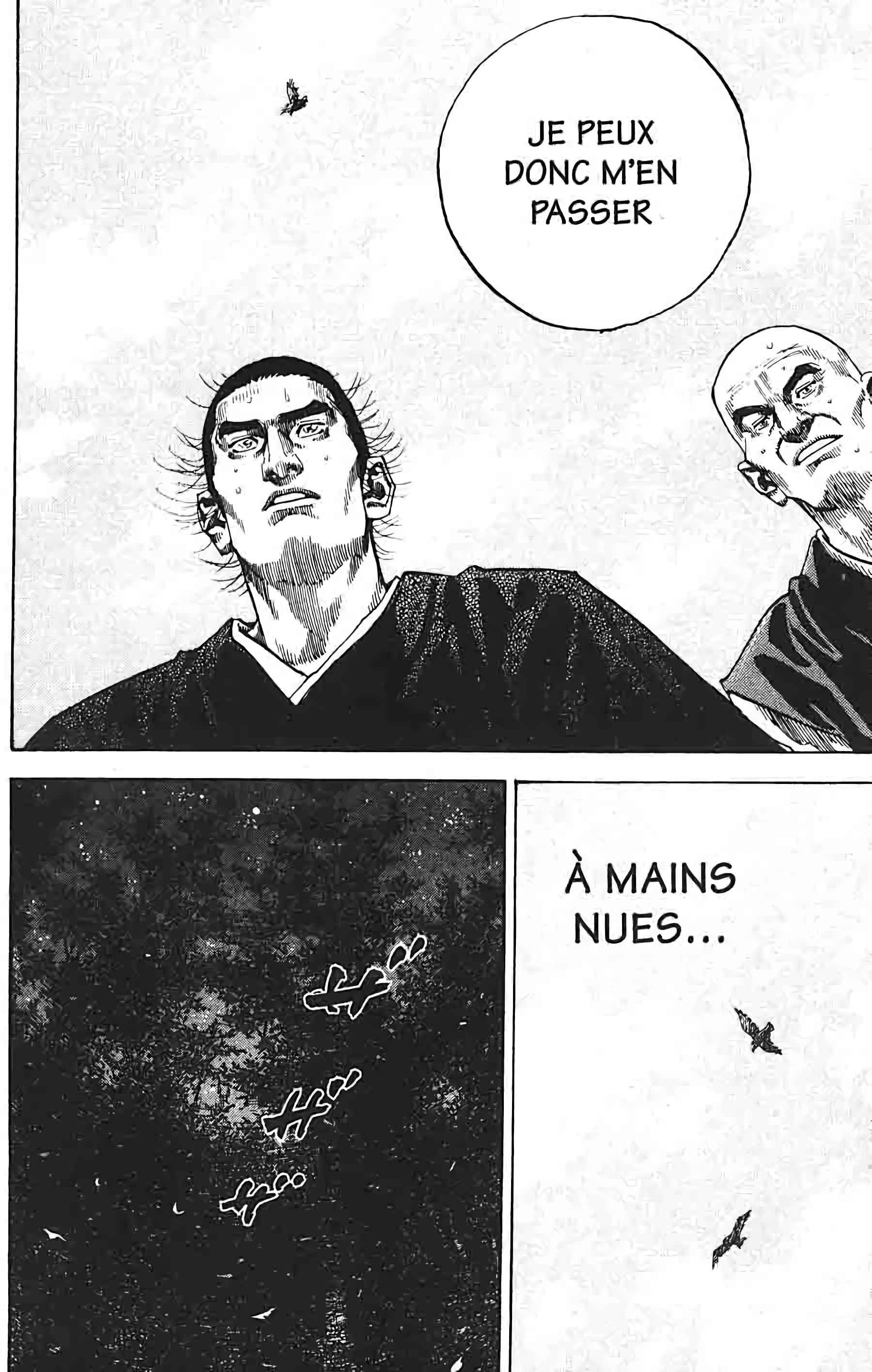 Read Vagabond FR Manga Online