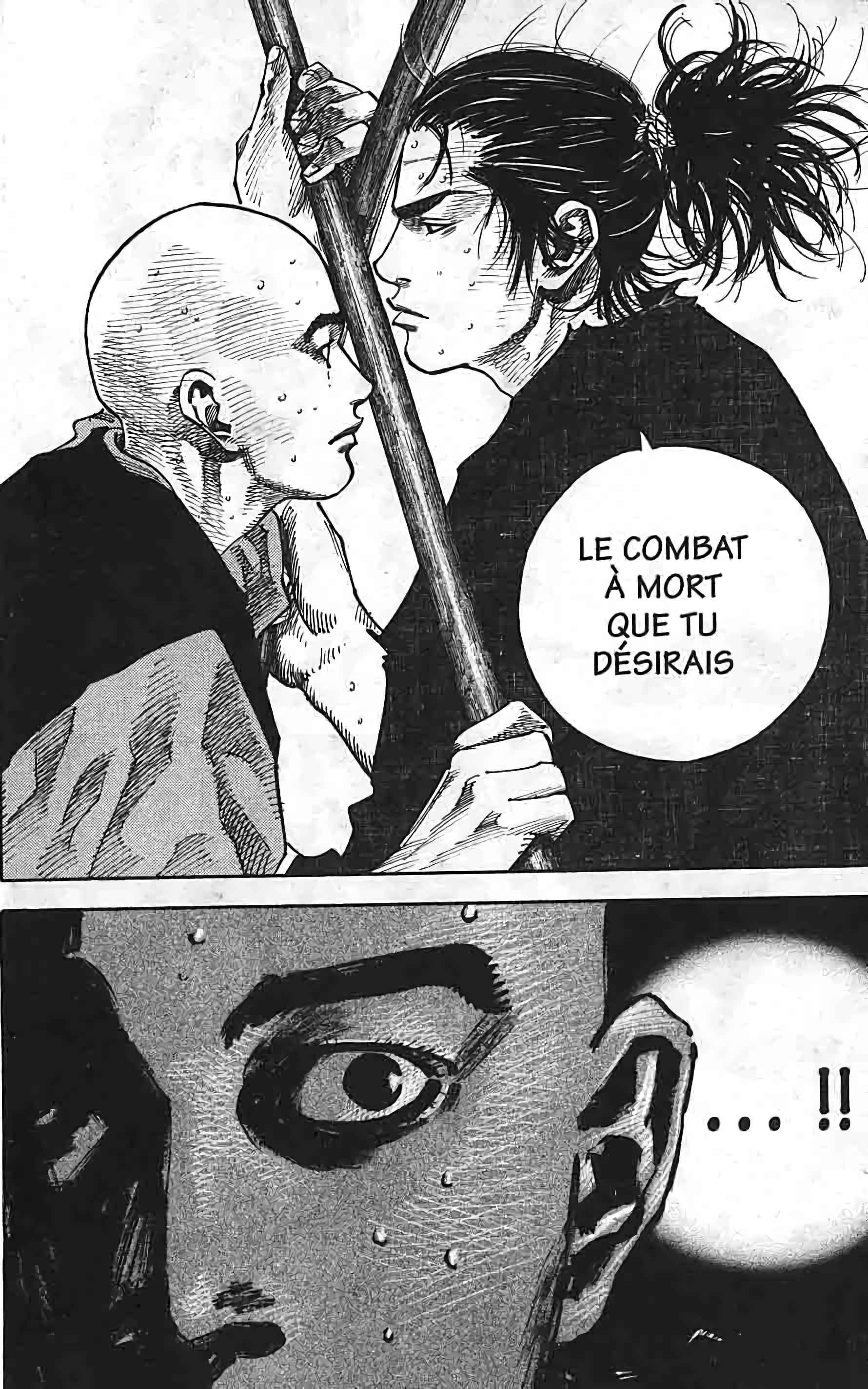 Read Vagabond FR Manga Online