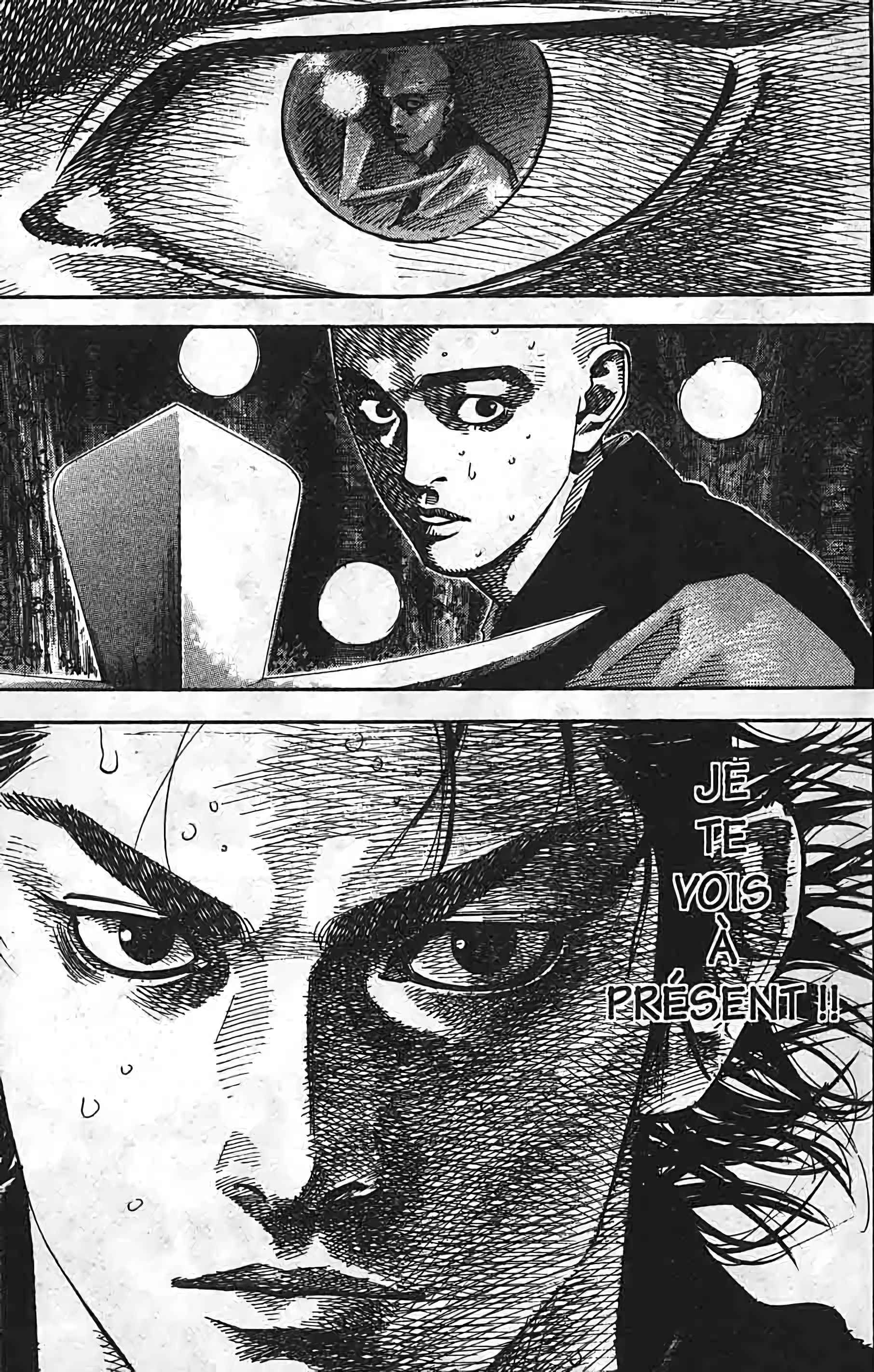 Read Vagabond FR Manga Online